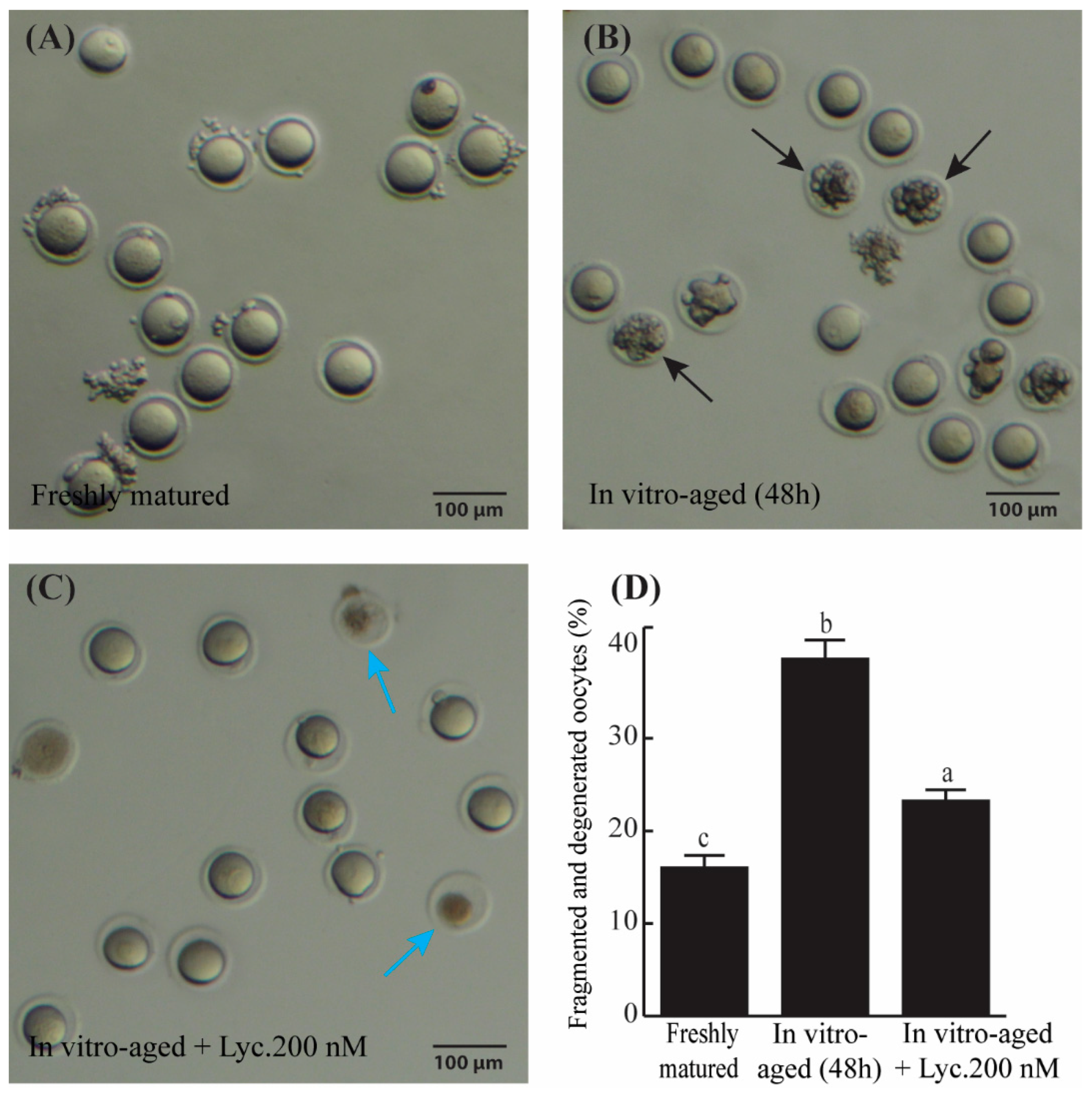 Vetsci 09 00336 g001