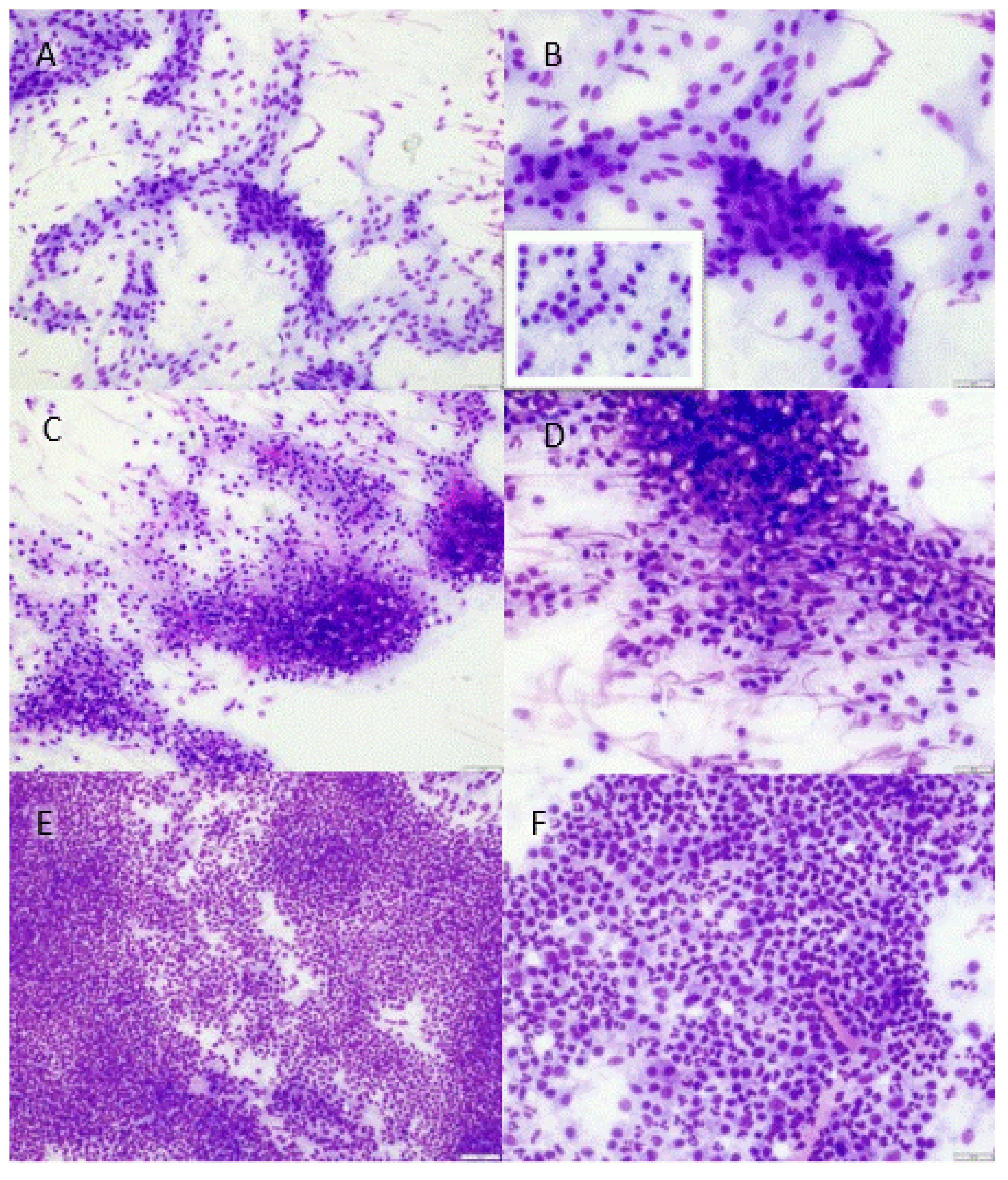 Vetsci 09 00341 g001