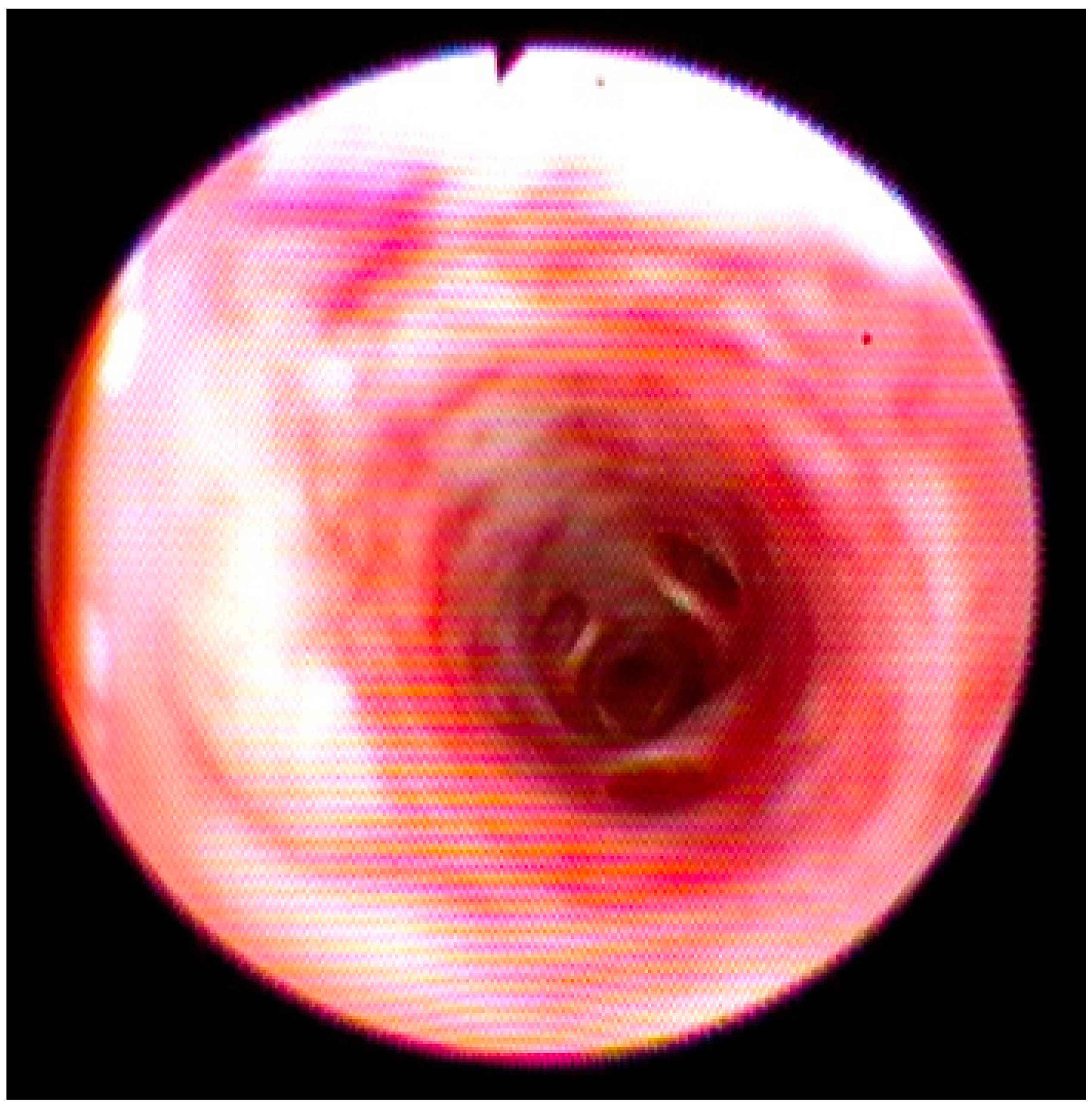 Vetsci 09 00346 g002