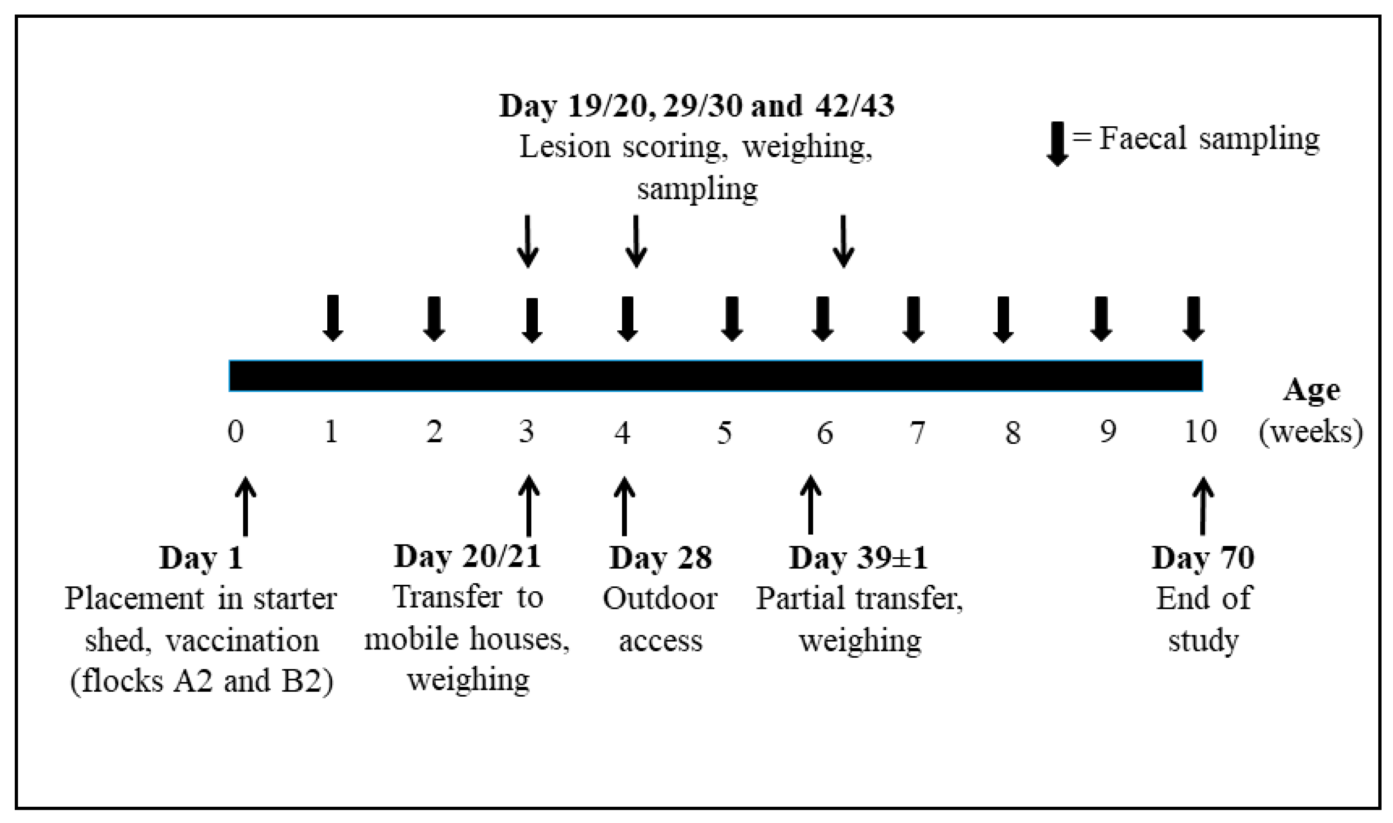 Vetsci 09 00347 g001