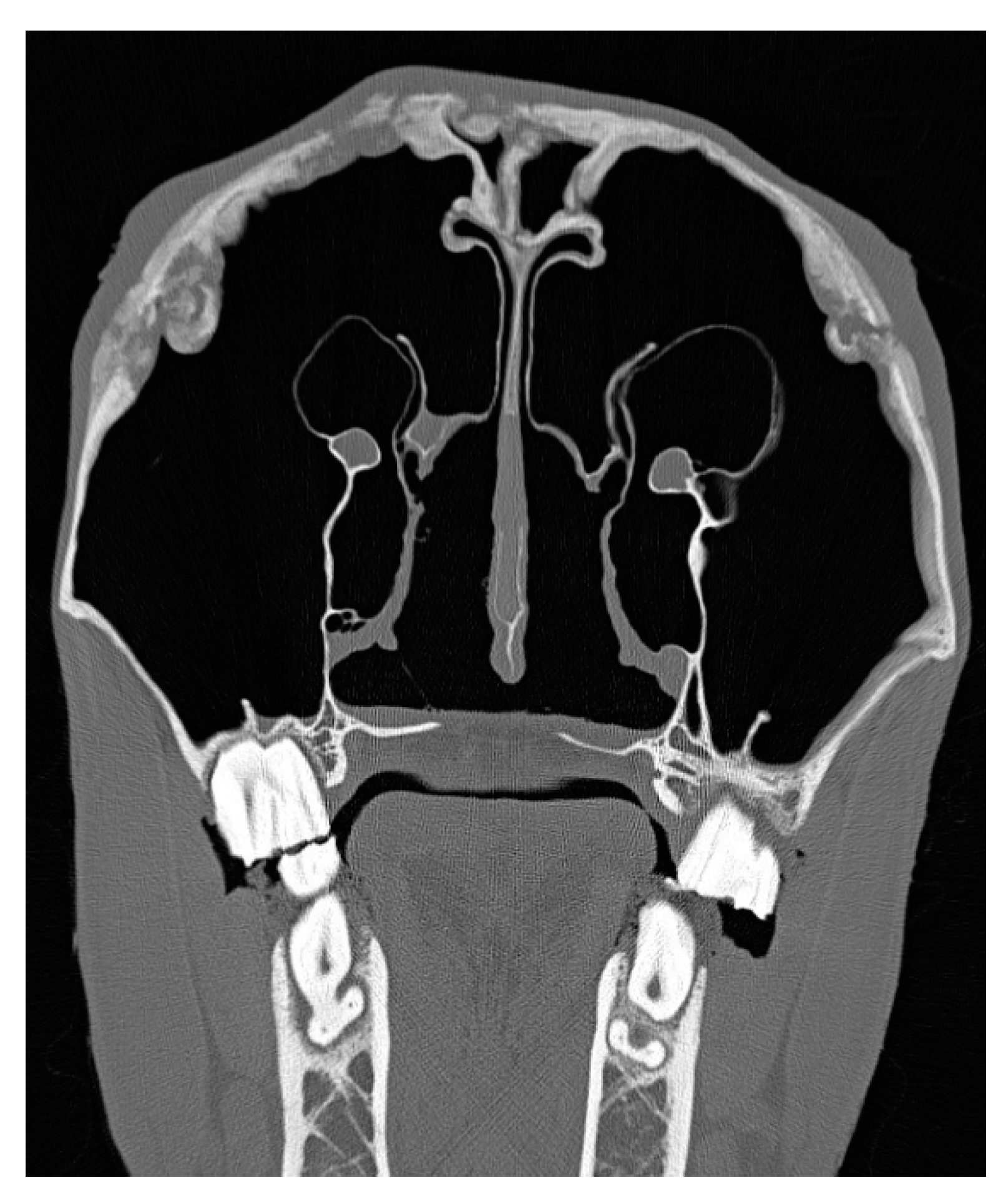 Vetsci 09 00365 g004