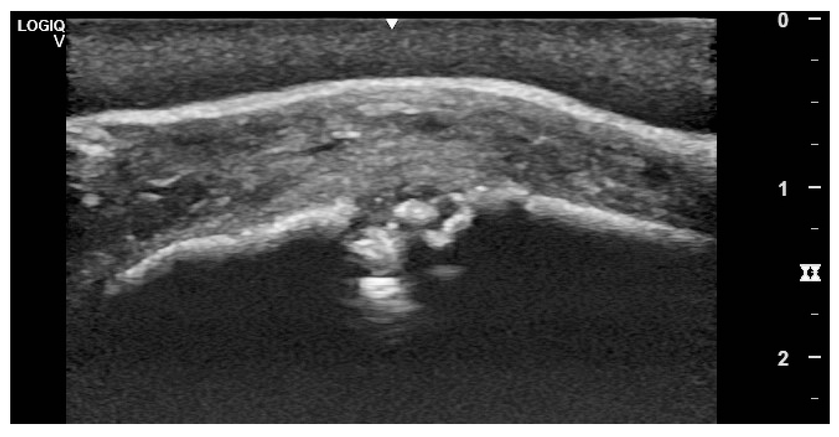 Vetsci 09 00365 g007