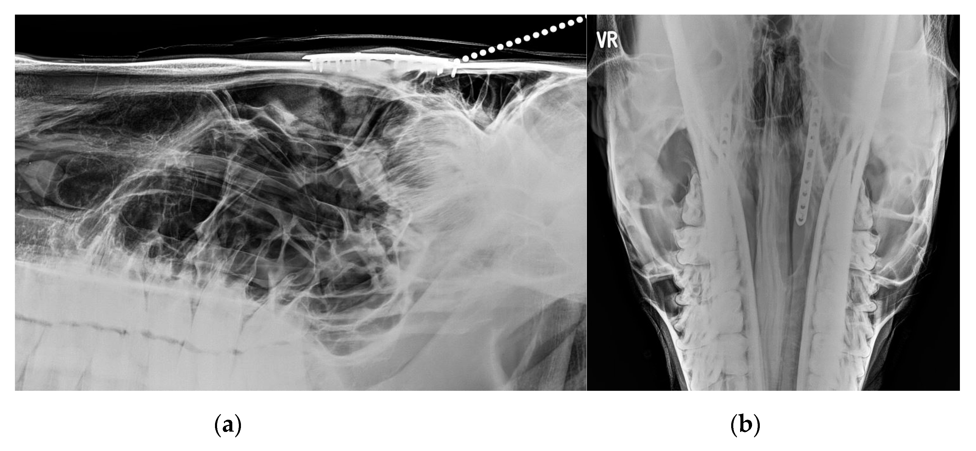 Vetsci 09 00365 g009