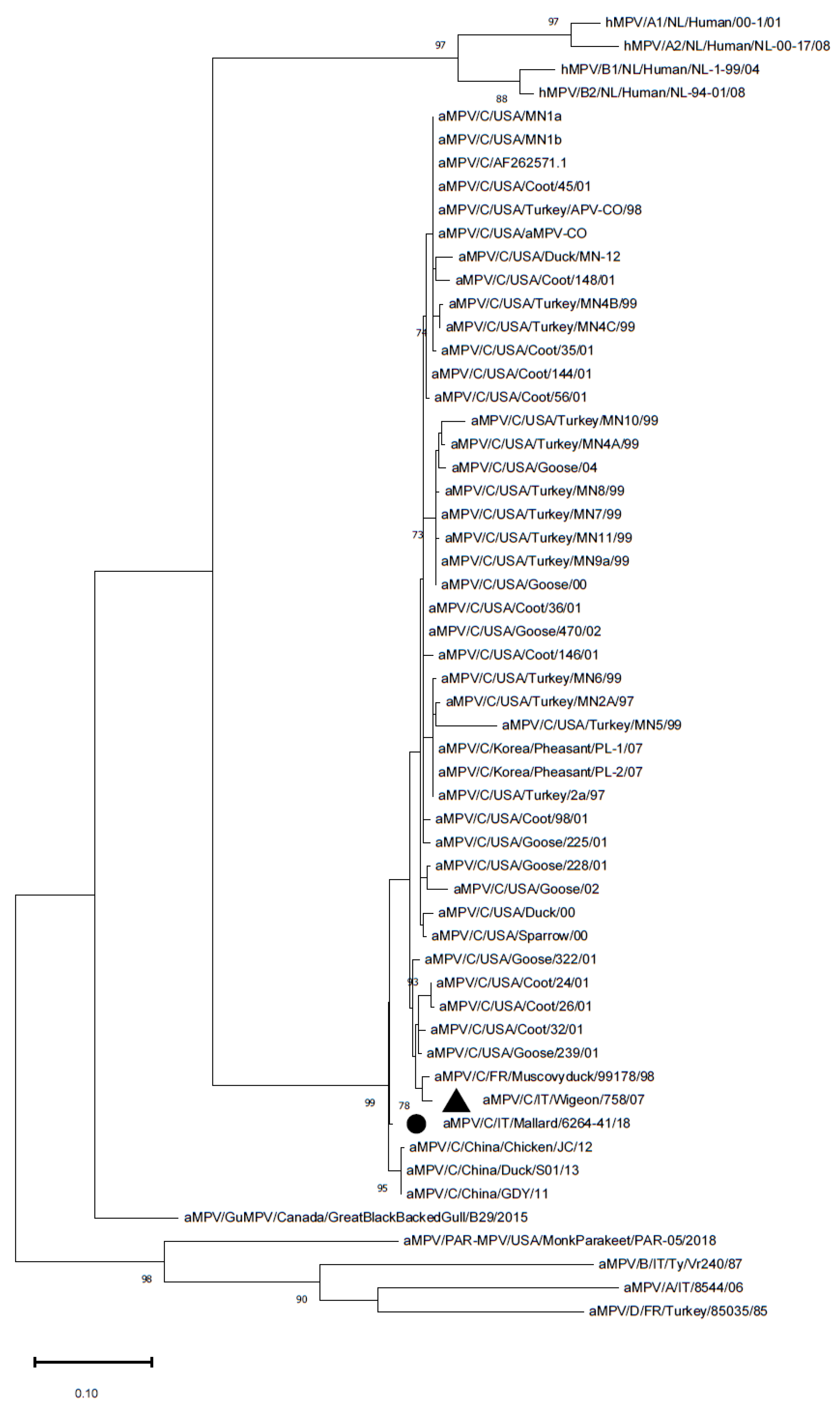 Vetsci 09 00373 g001