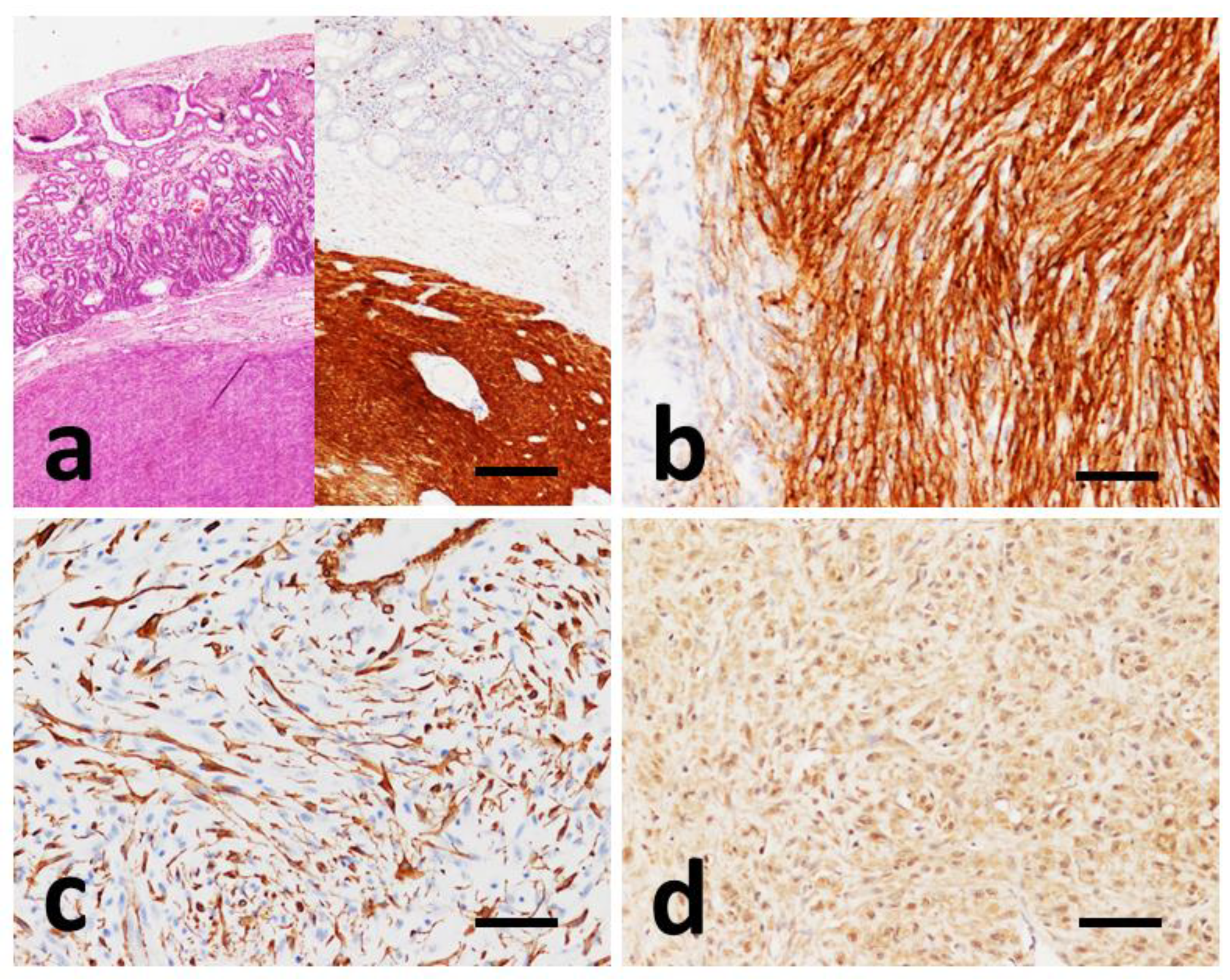 Vetsci 09 00376 g003