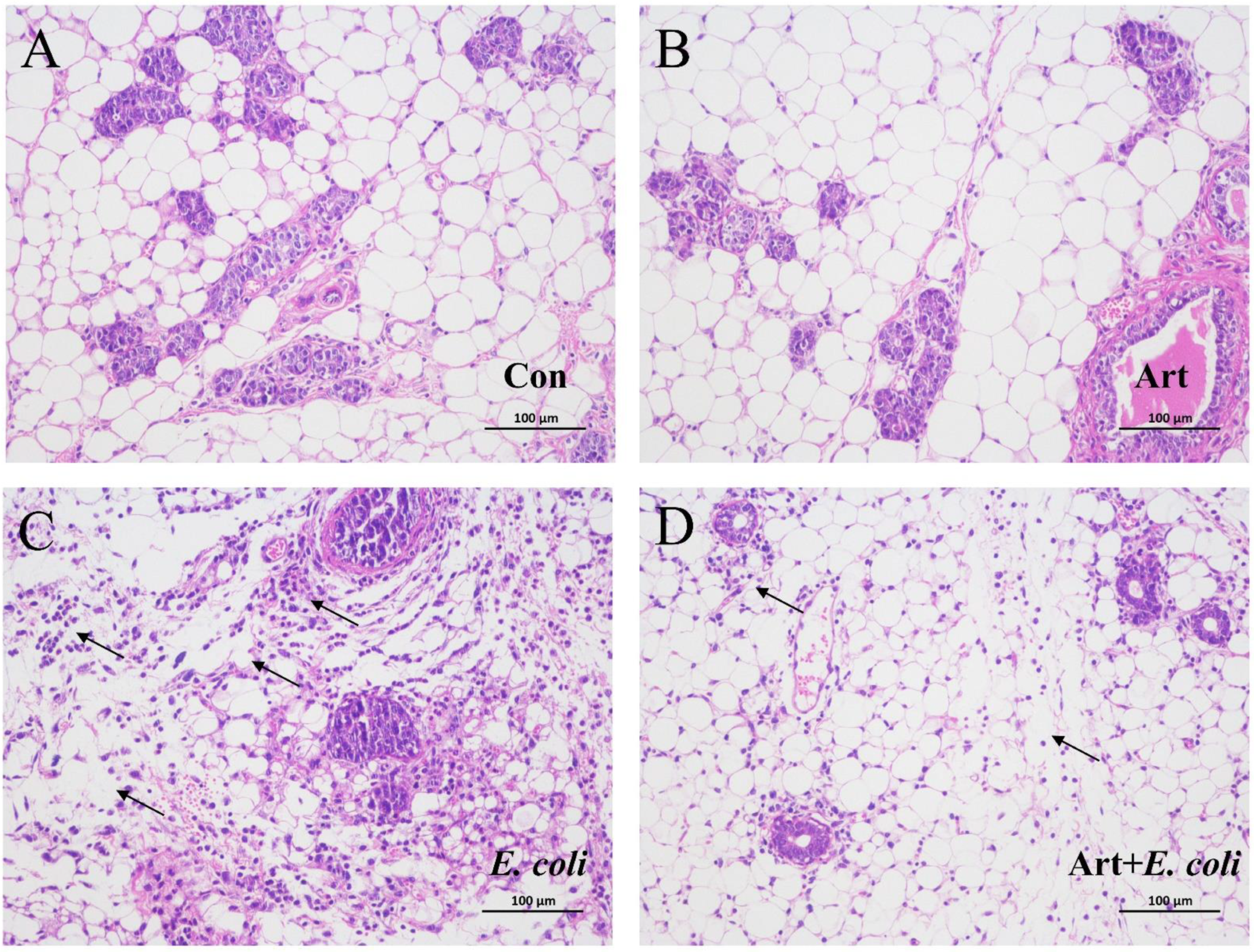 Vetsci 09 00381 g006