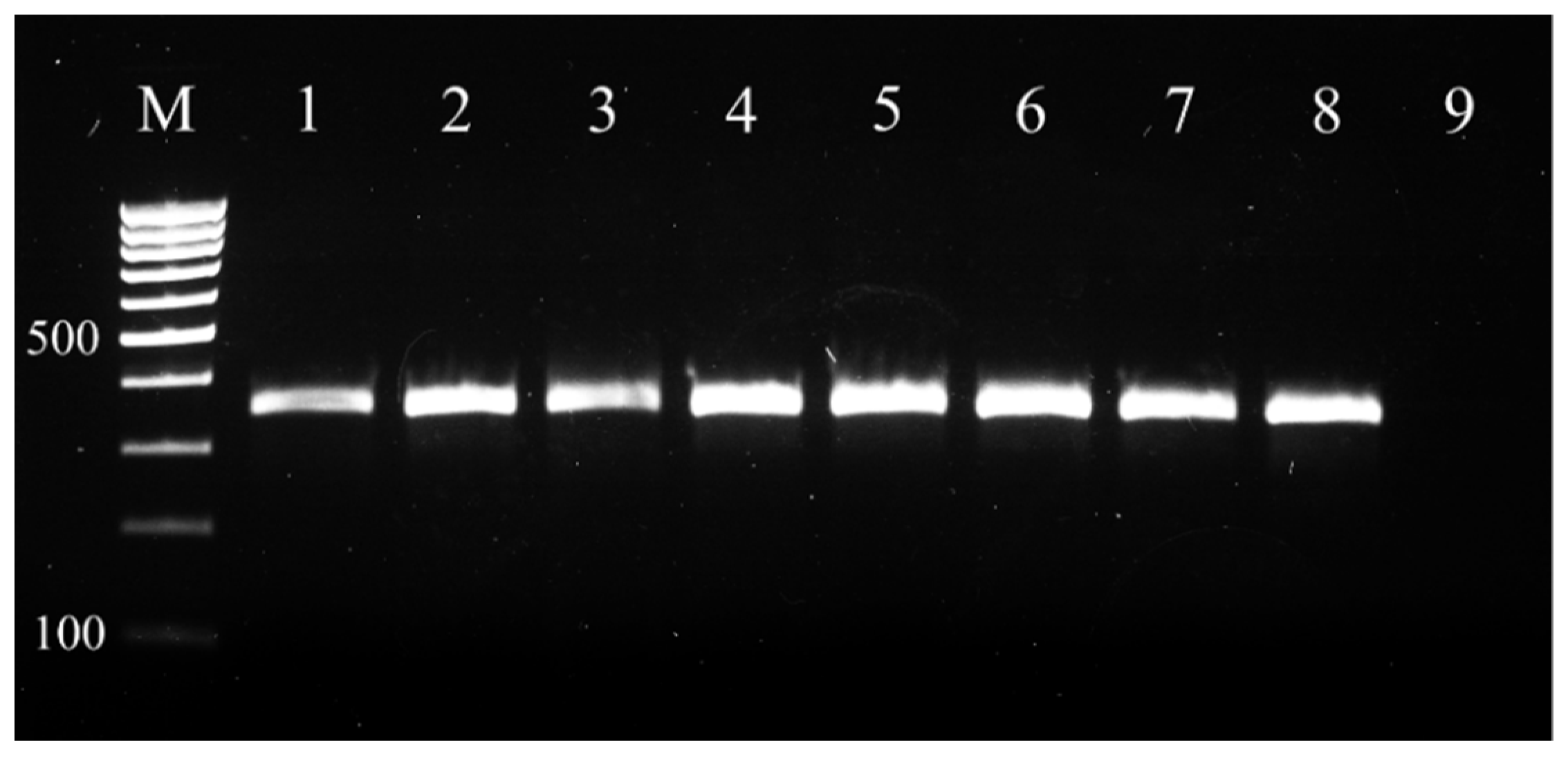 Vetsci 09 00401 g001 Vetsci 09 00401 g001