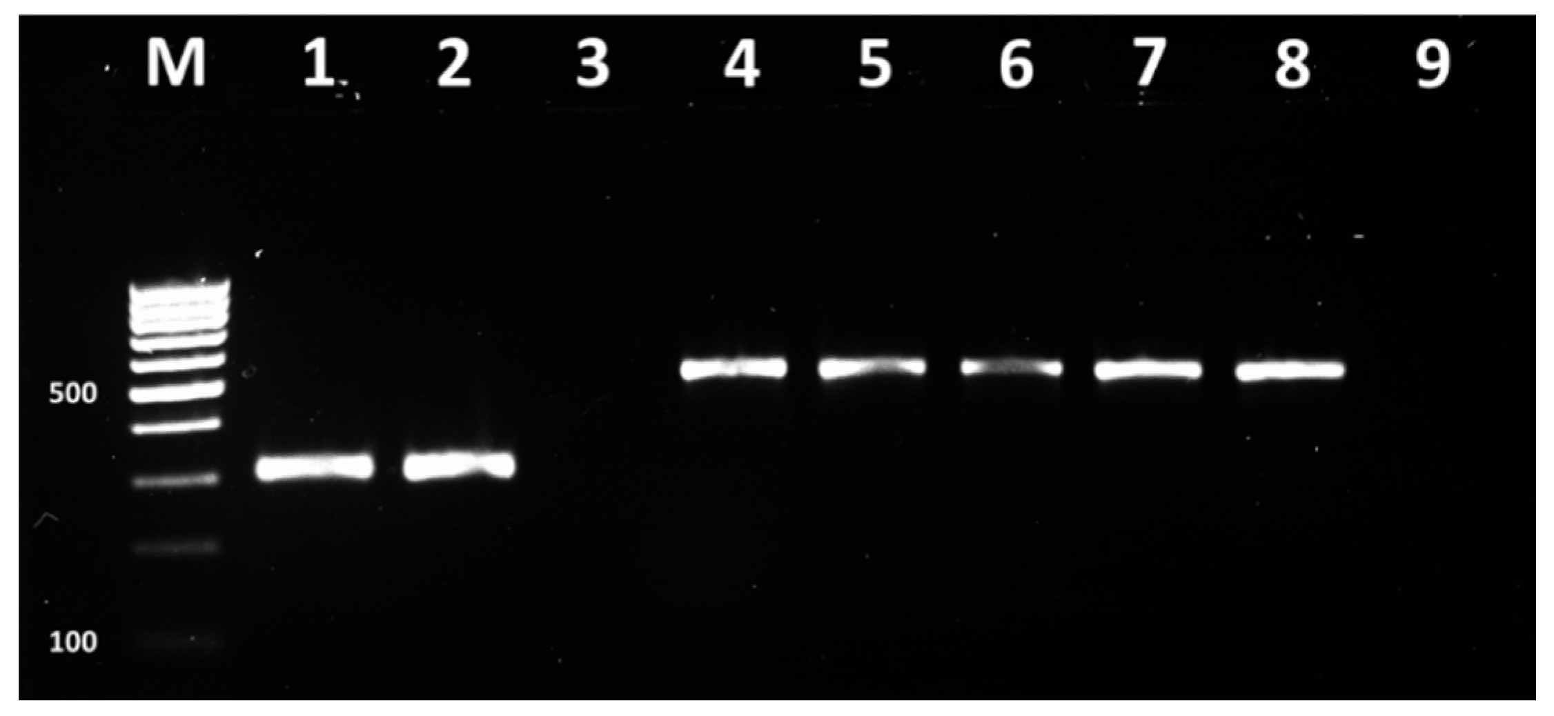 Vetsci 09 00401 g003 Vetsci 09 00401 g003