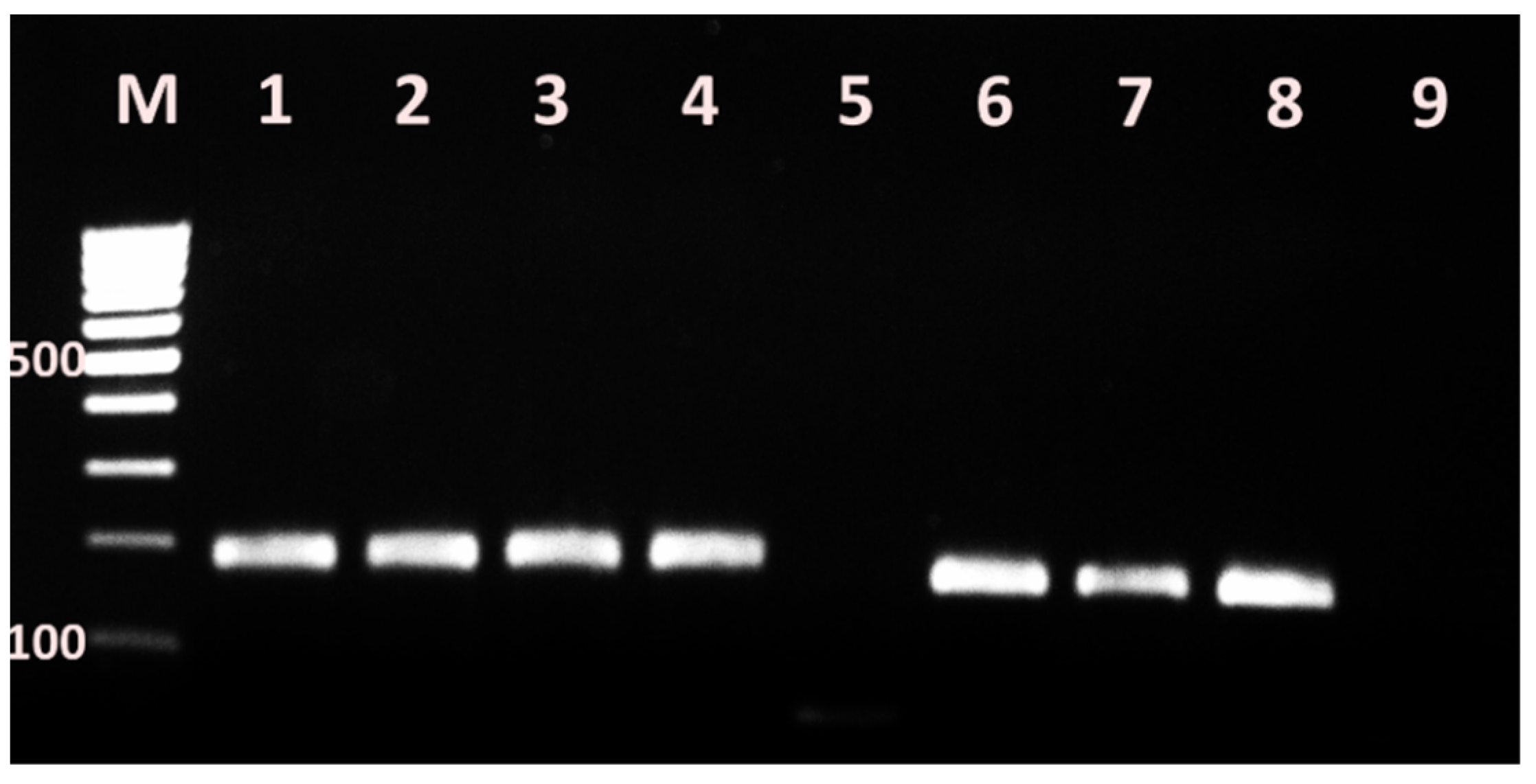 Vetsci 09 00401 g004 Vetsci 09 00401 g004