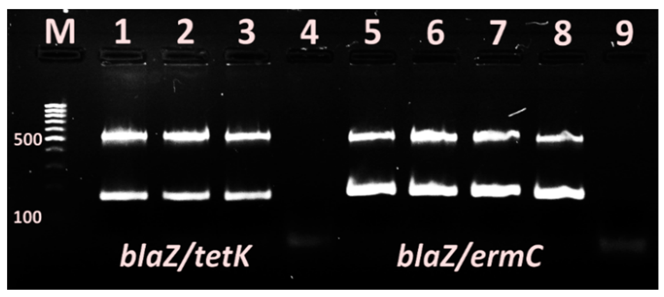 Vetsci 09 00401 g005 Vetsci 09 00401 g005