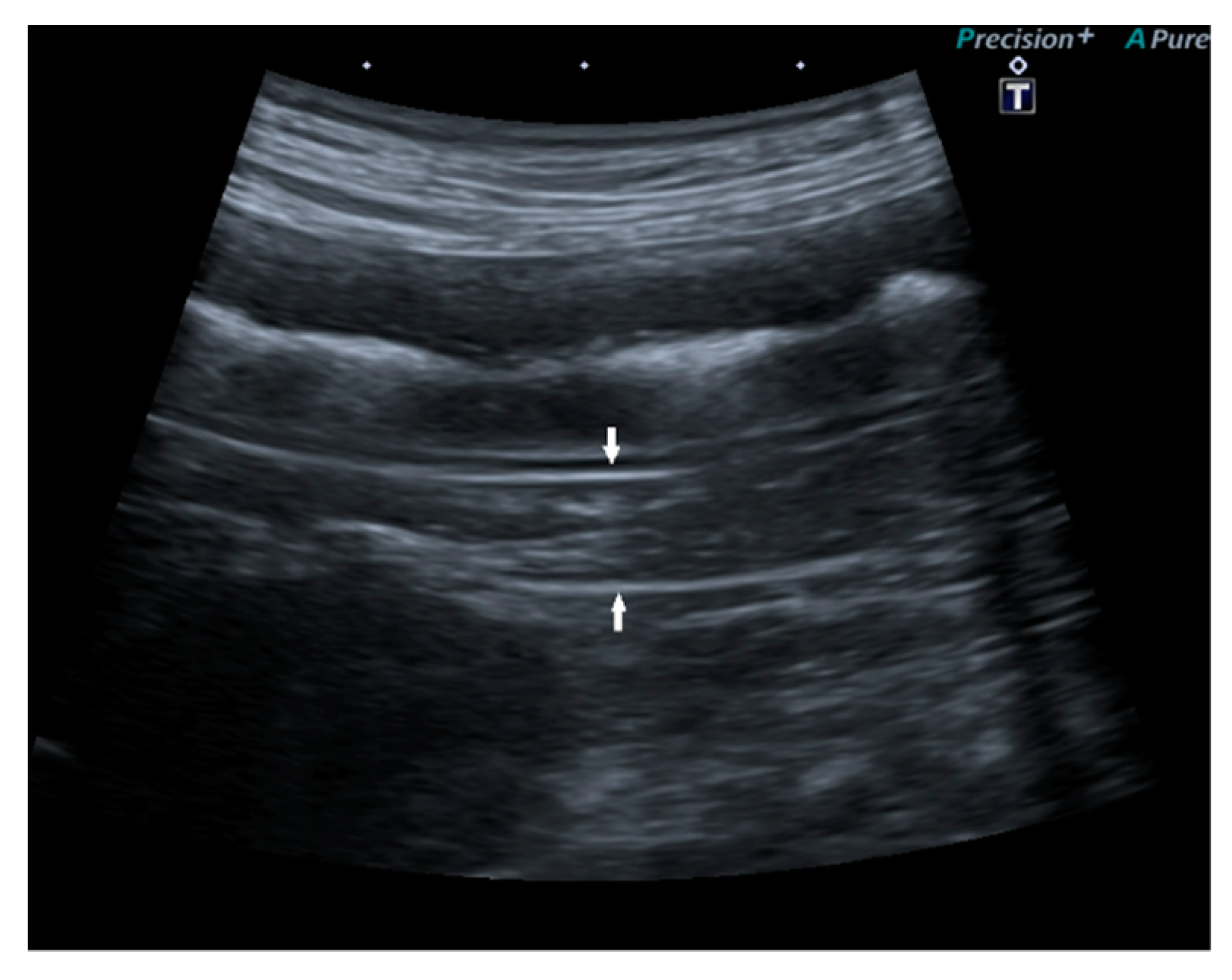 Vetsci 09 00407 g002