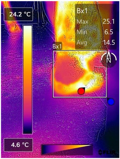 Vetsci 09 00414 g0a3 550