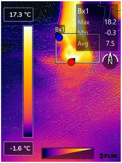 Vetsci 09 00414 g0a6 550