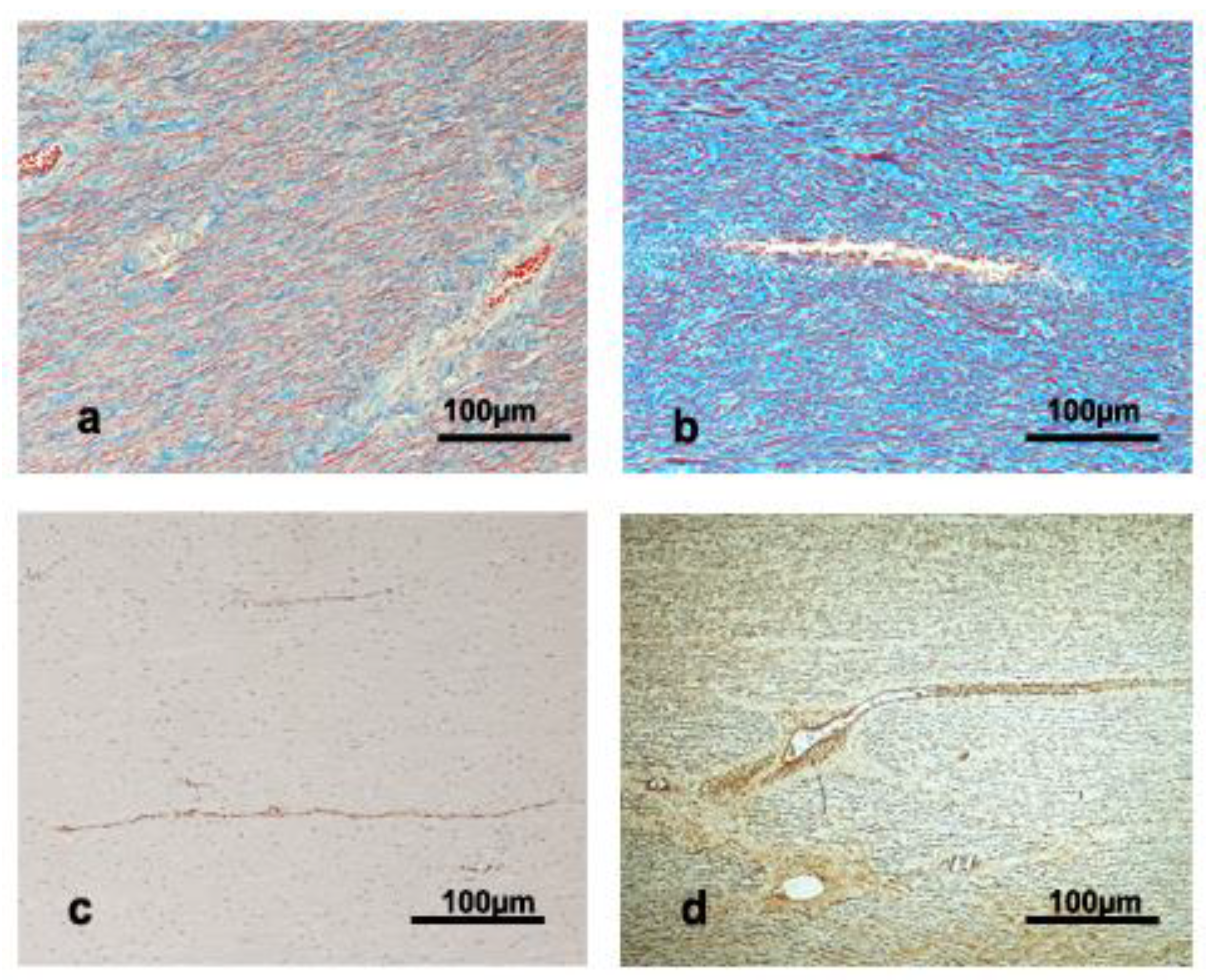 Vetsci 09 00424 g002