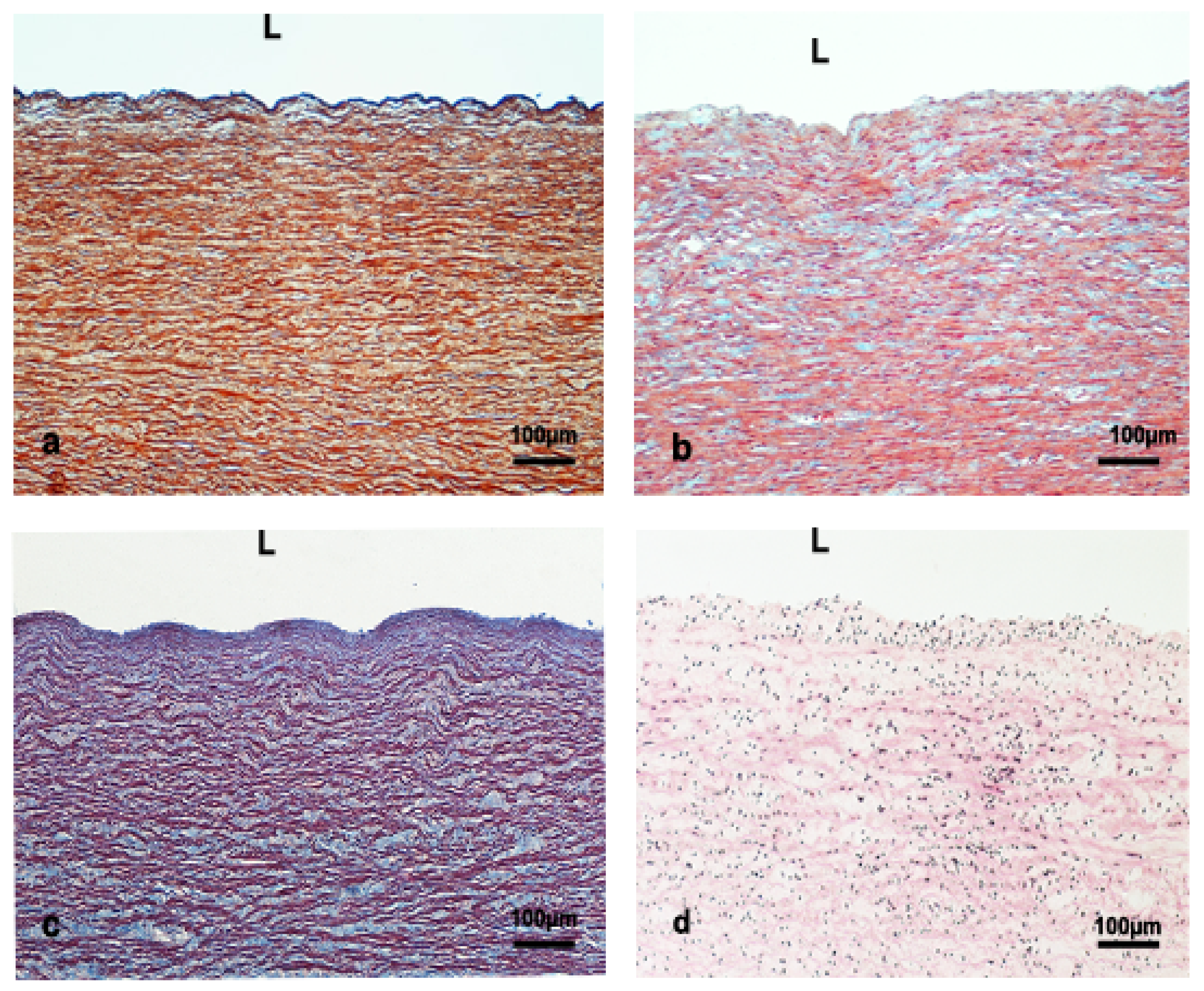 Vetsci 09 00424 g003