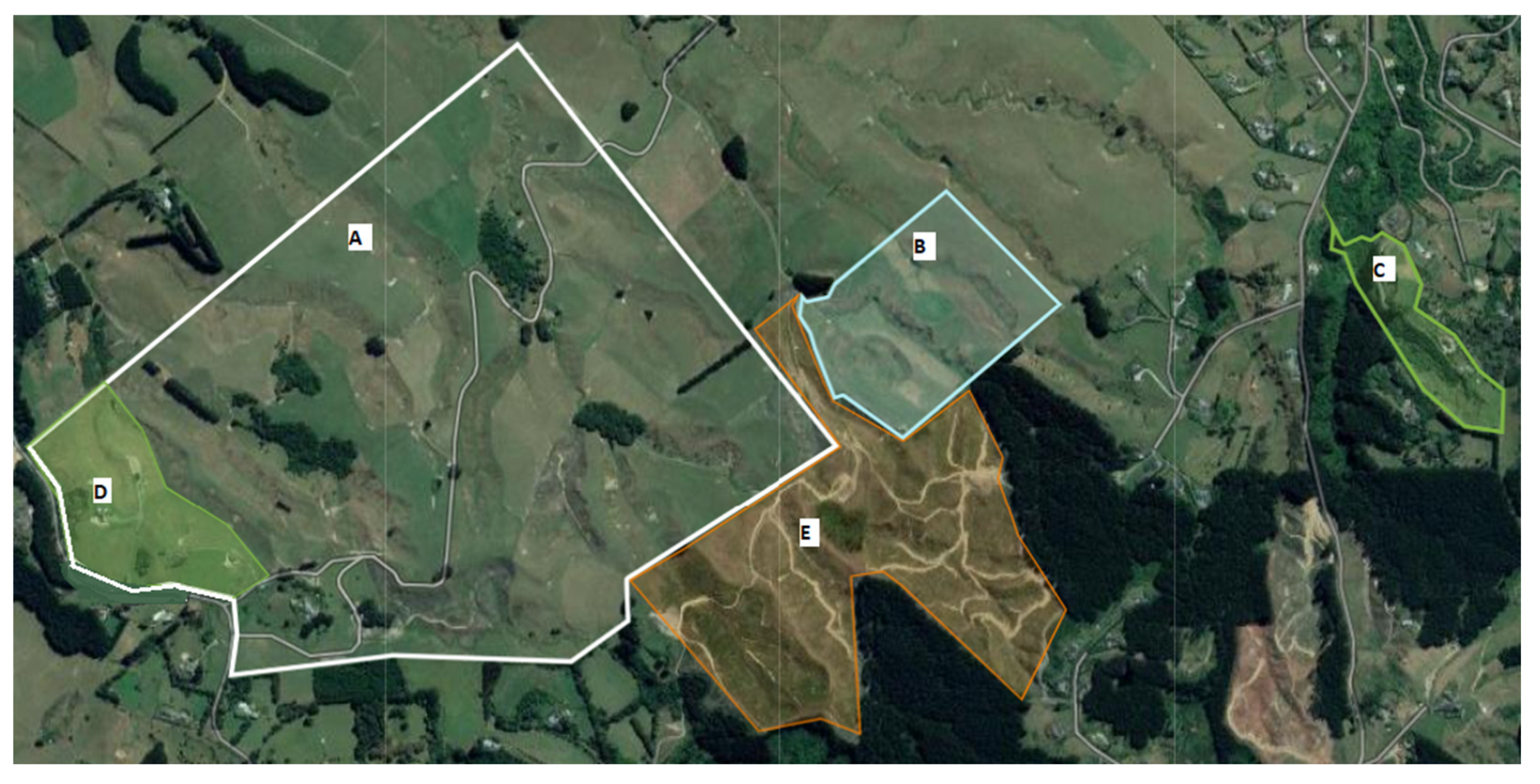 Vetsci 09 00426 g001