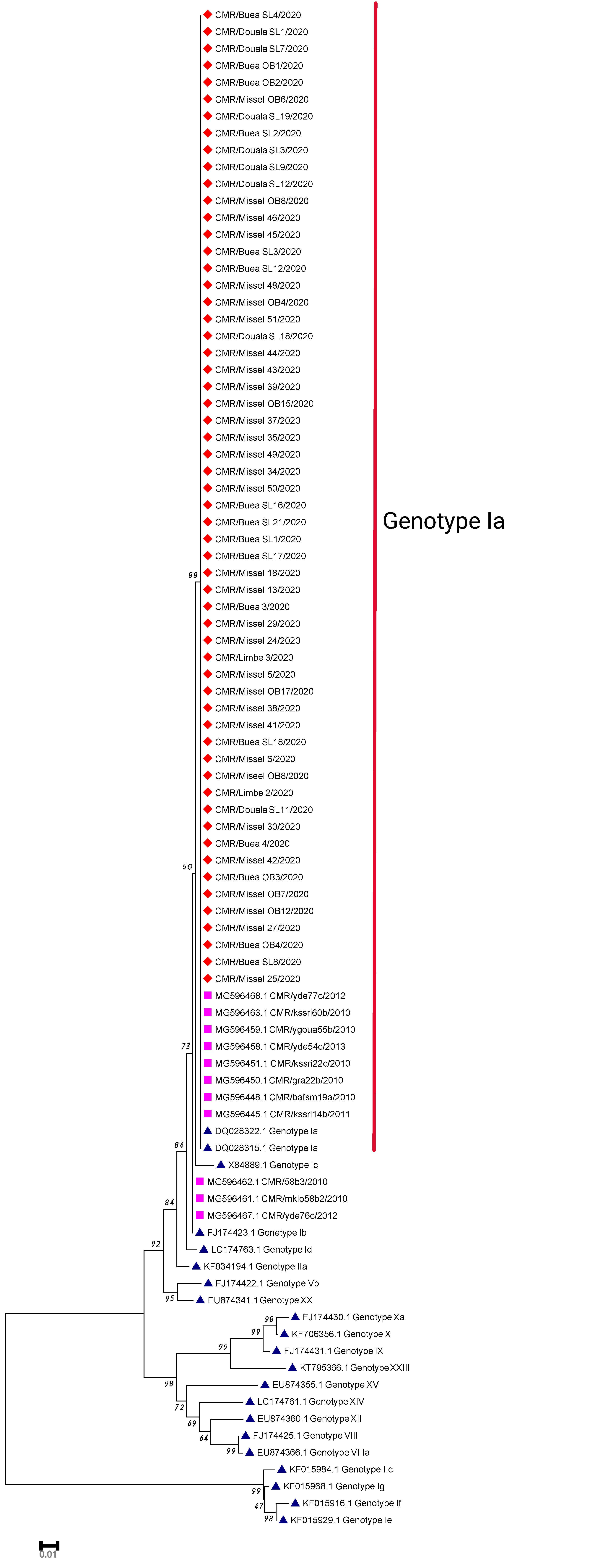 Vetsci 09 00440 g002 Vetsci 09 00440 g002
