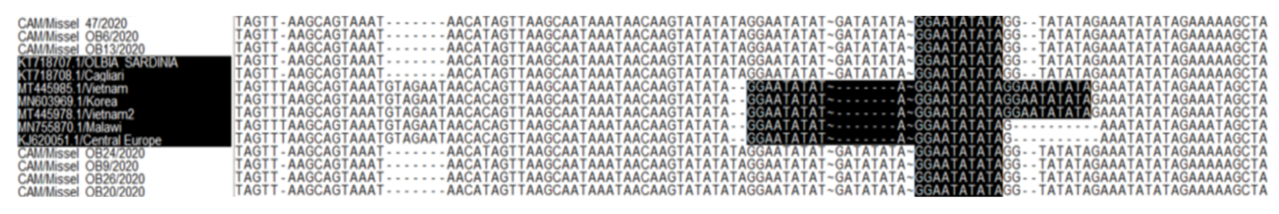 Vetsci 09 00440 g004 Vetsci 09 00440 g004