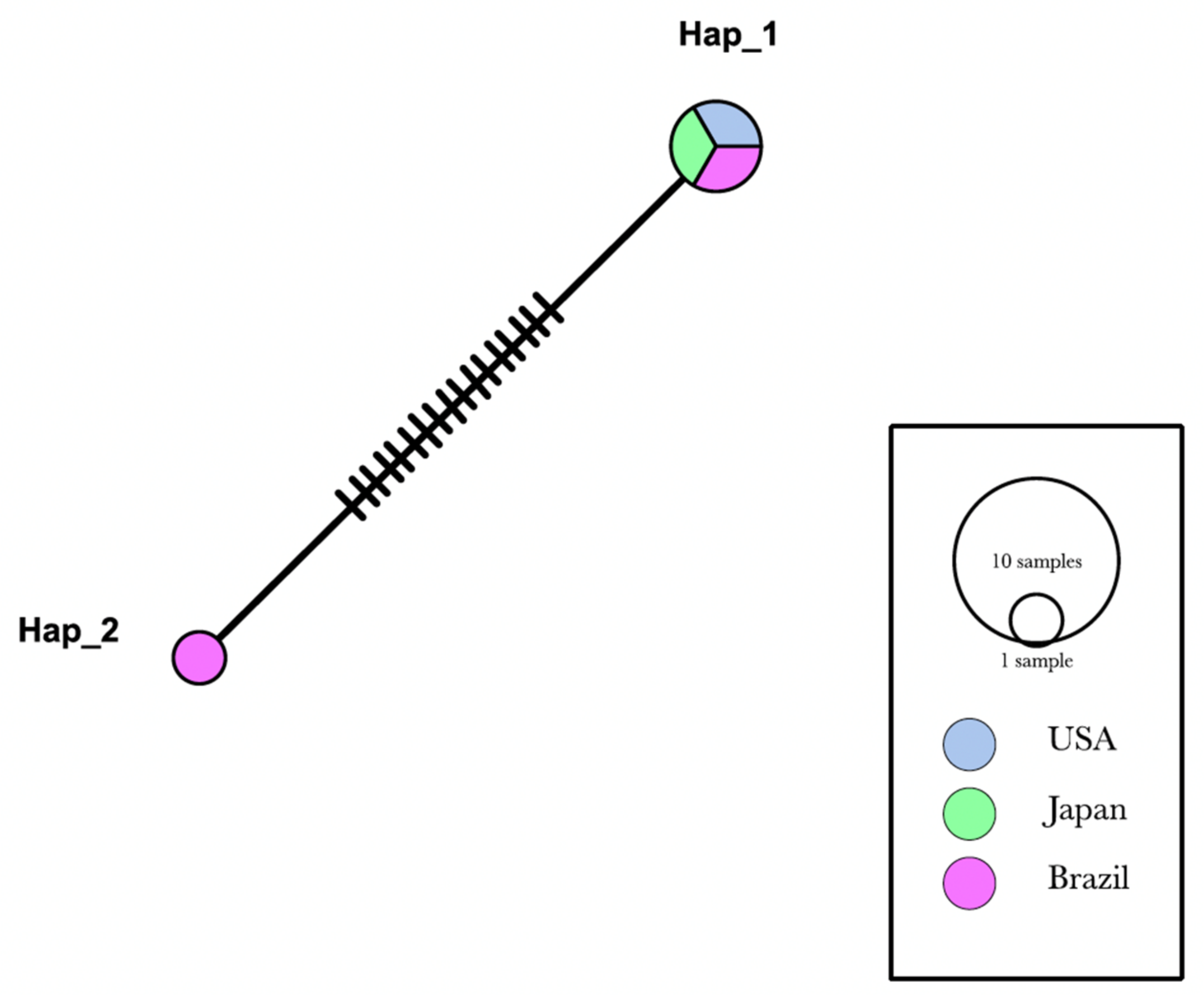 Vetsci 09 00443 g002