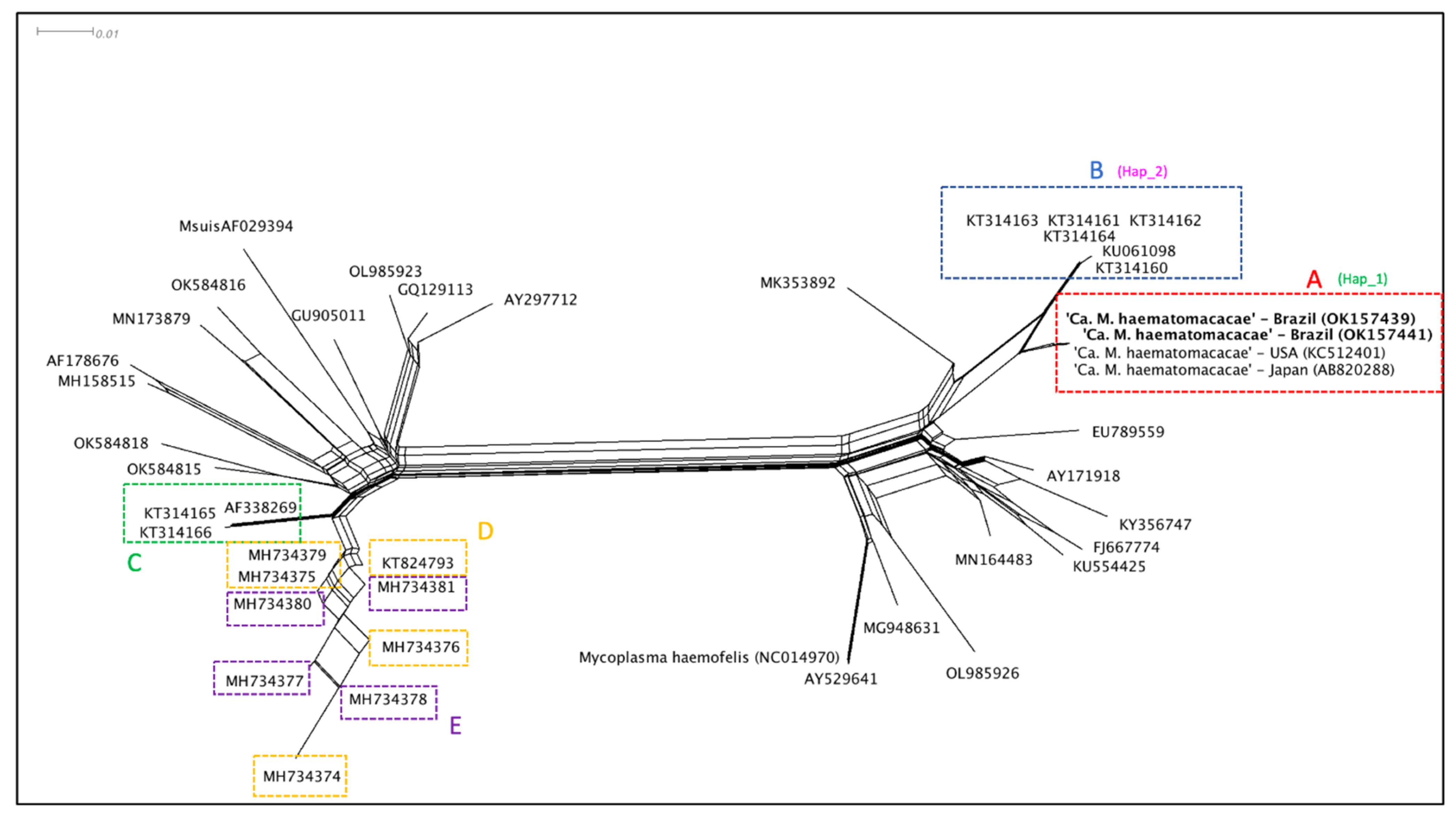 Vetsci 09 00443 g003
