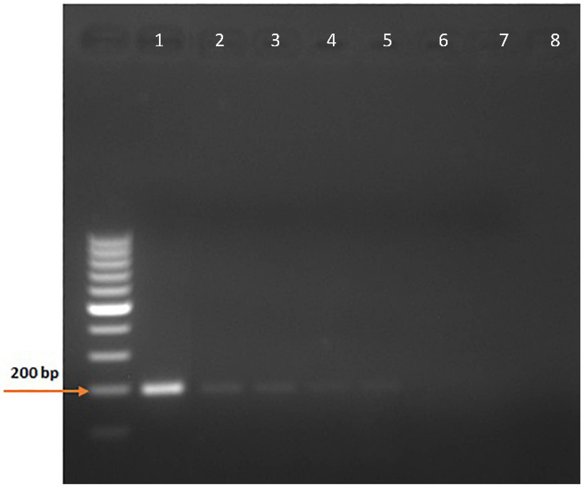 Vetsci 09 00444 g004