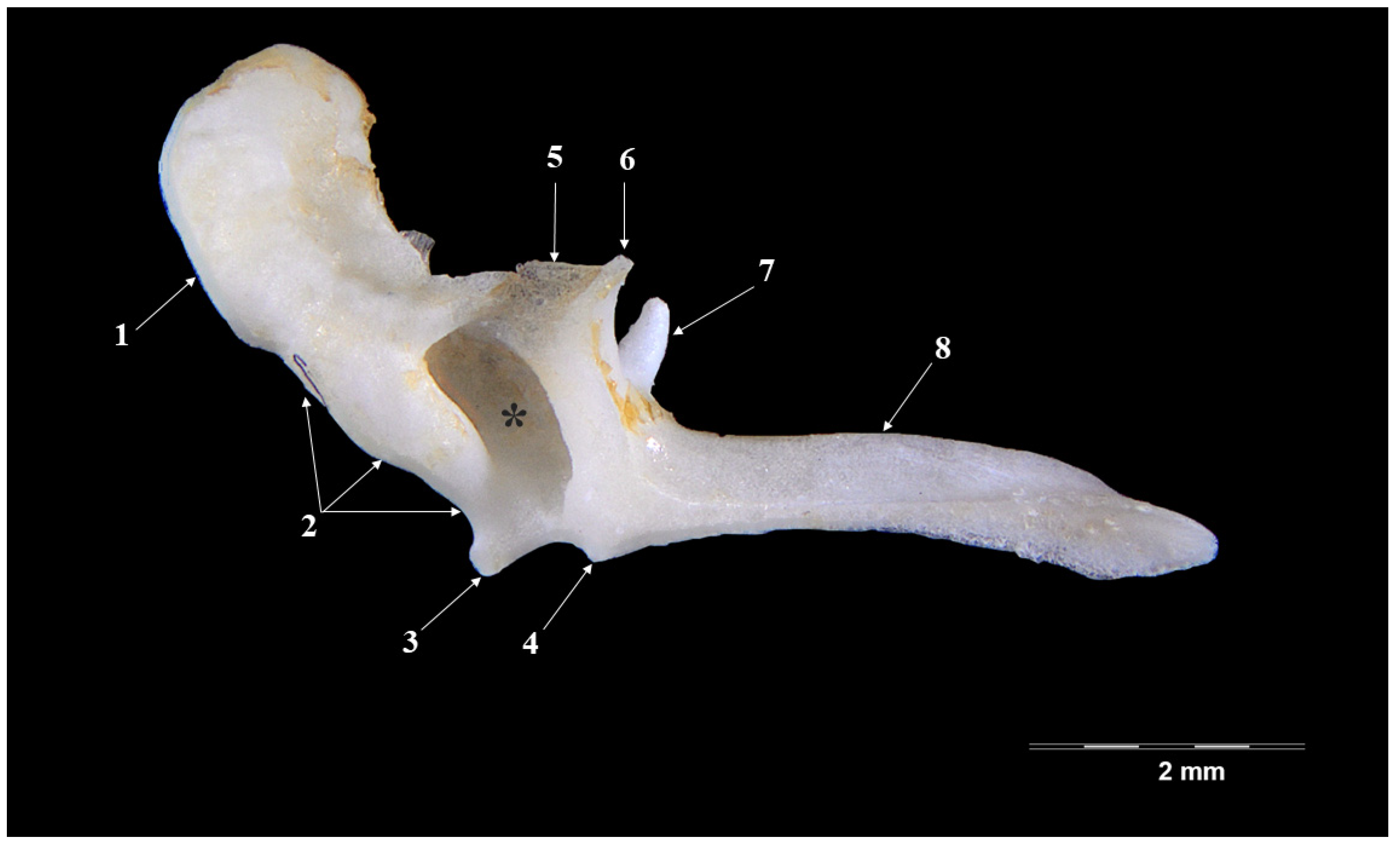 Vetsci 09 00483 g002