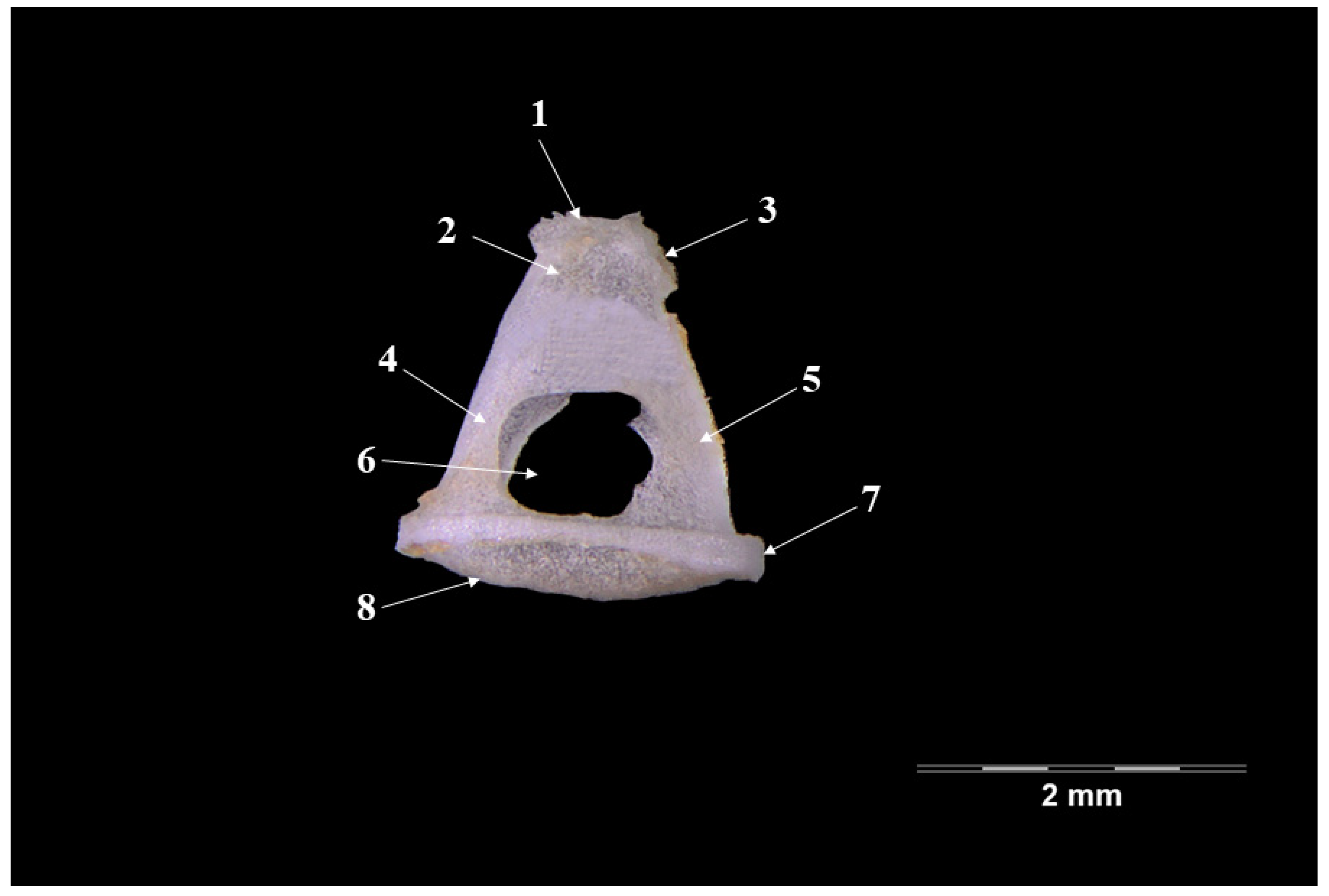 Vetsci 09 00483 g005