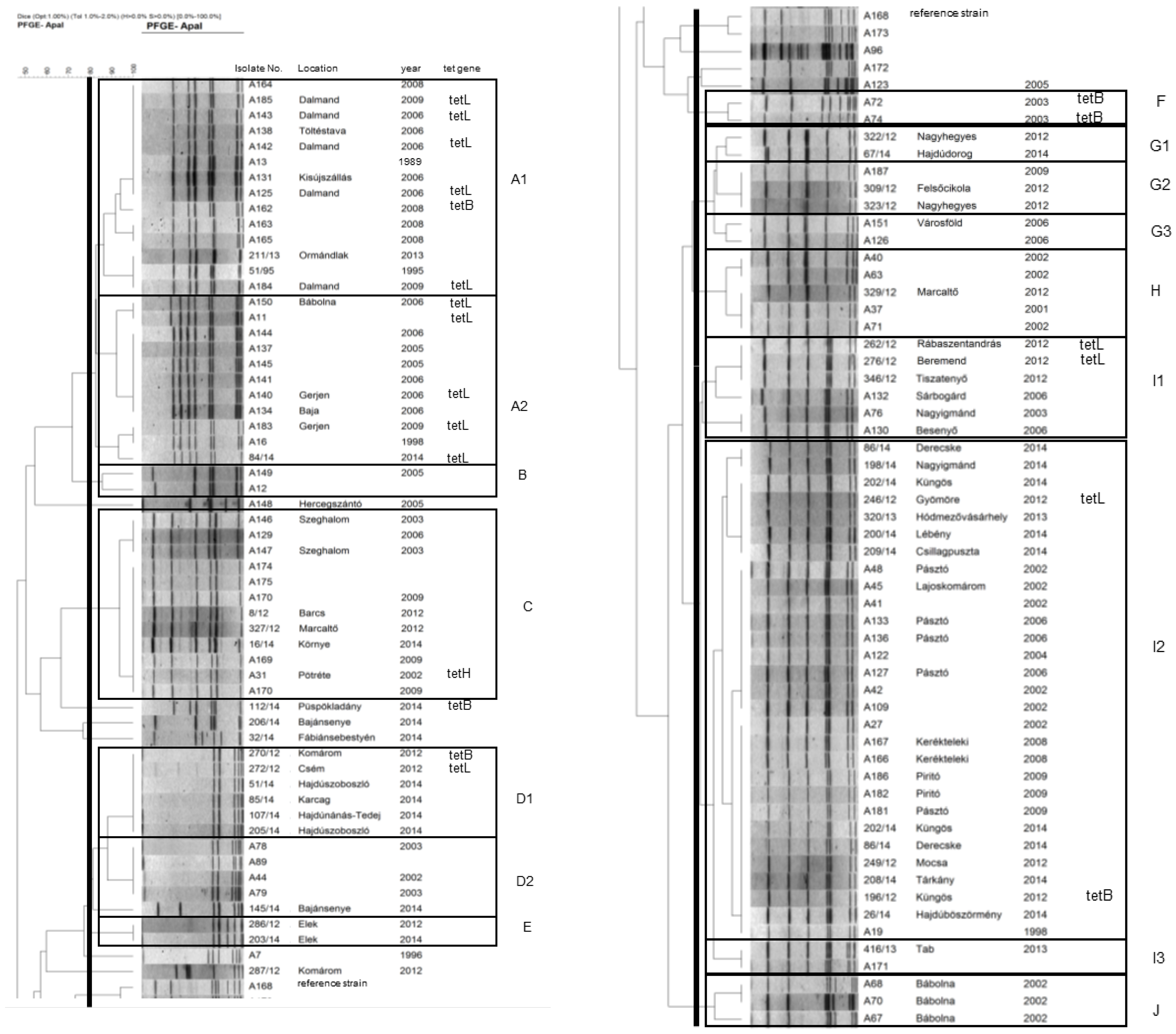 Vetsci 09 00511 g001