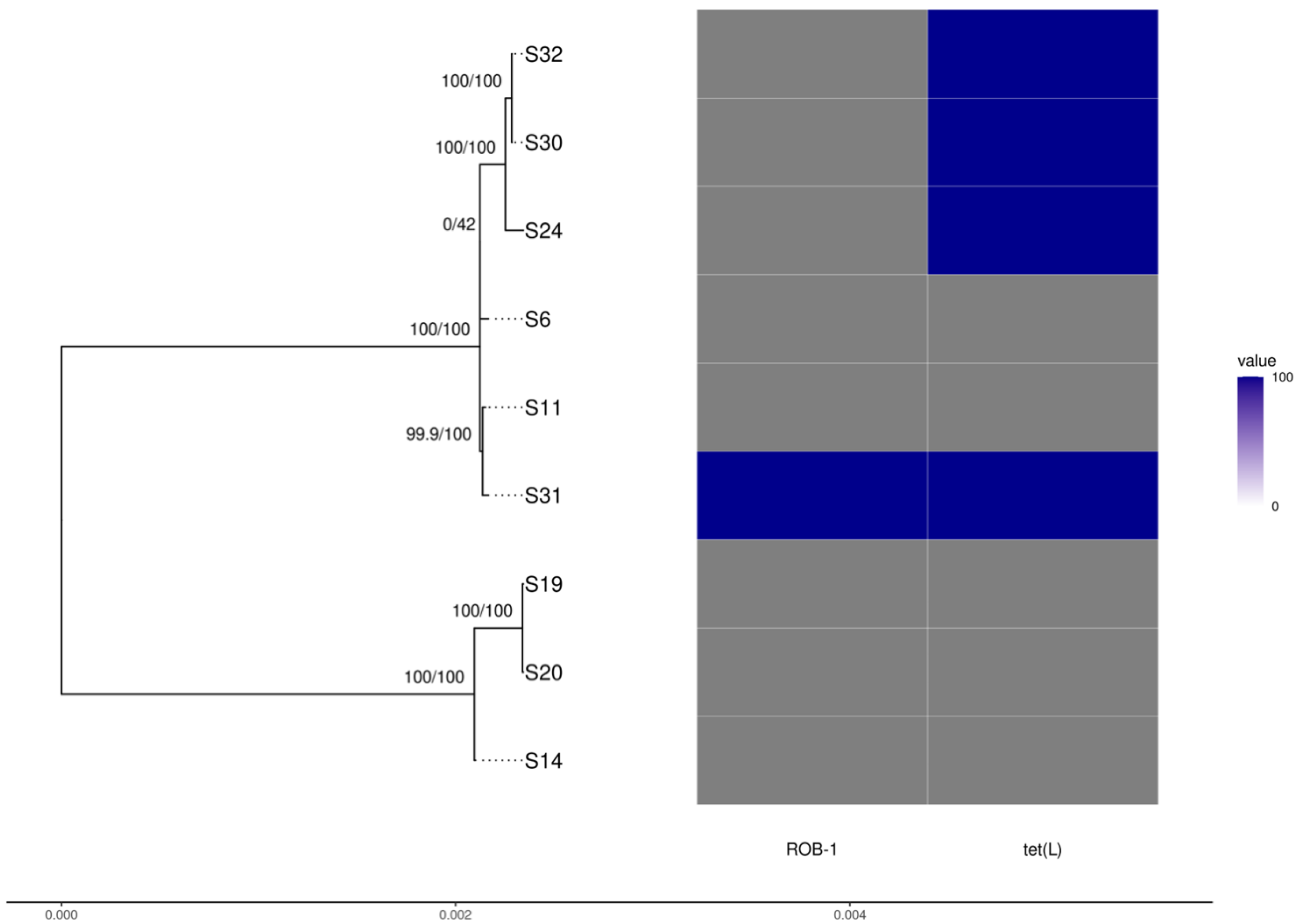 Vetsci 09 00511 g002