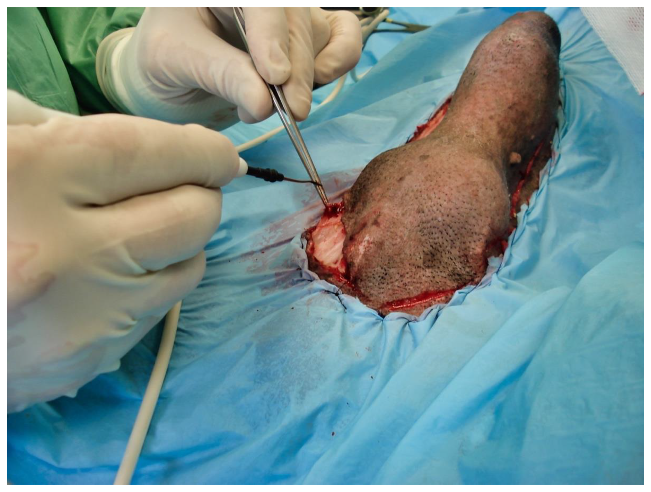 Vetsci 09 00518 g004