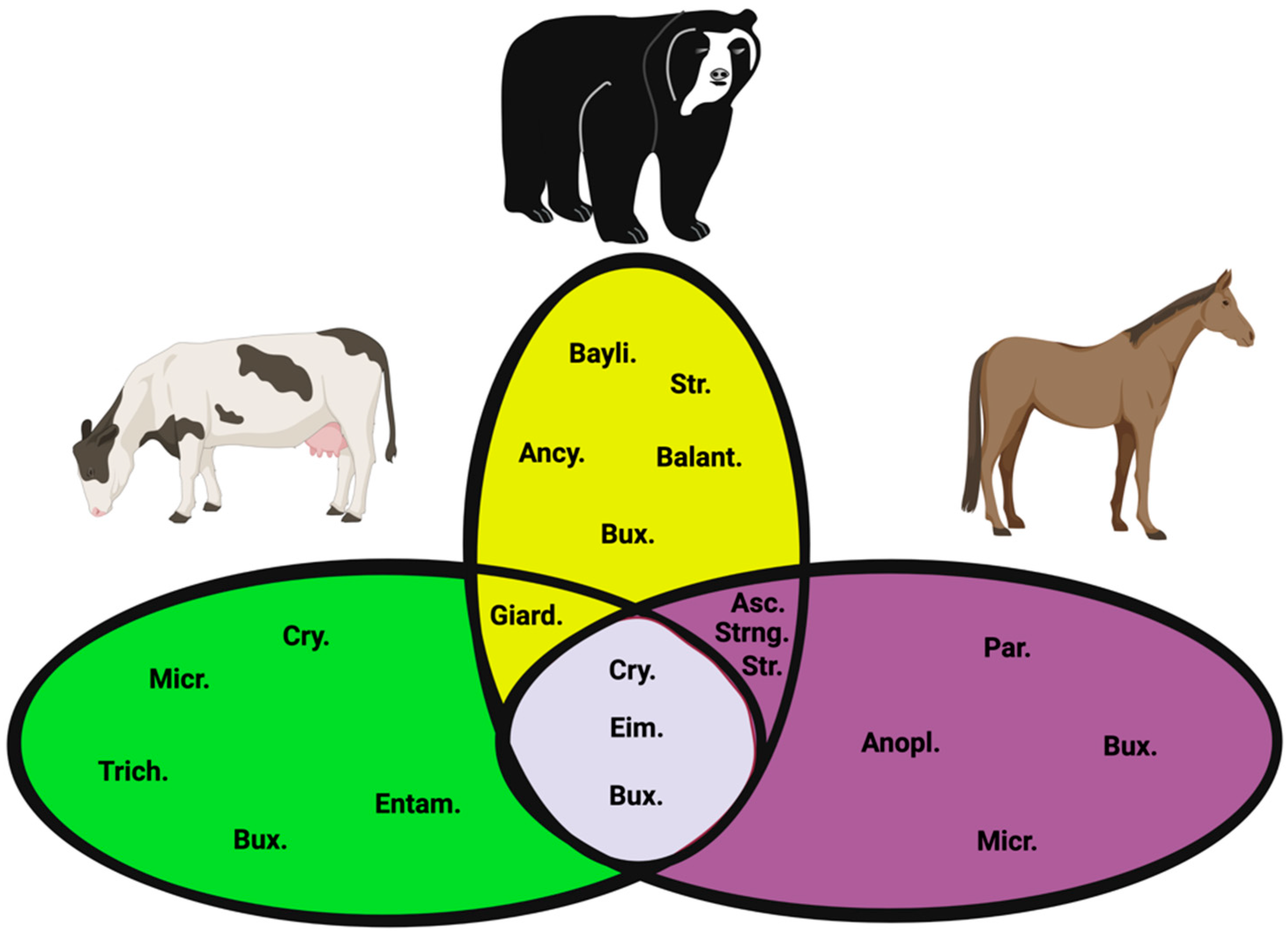 Vetsci 09 00537 g006 Vetsci 09 00537 g006