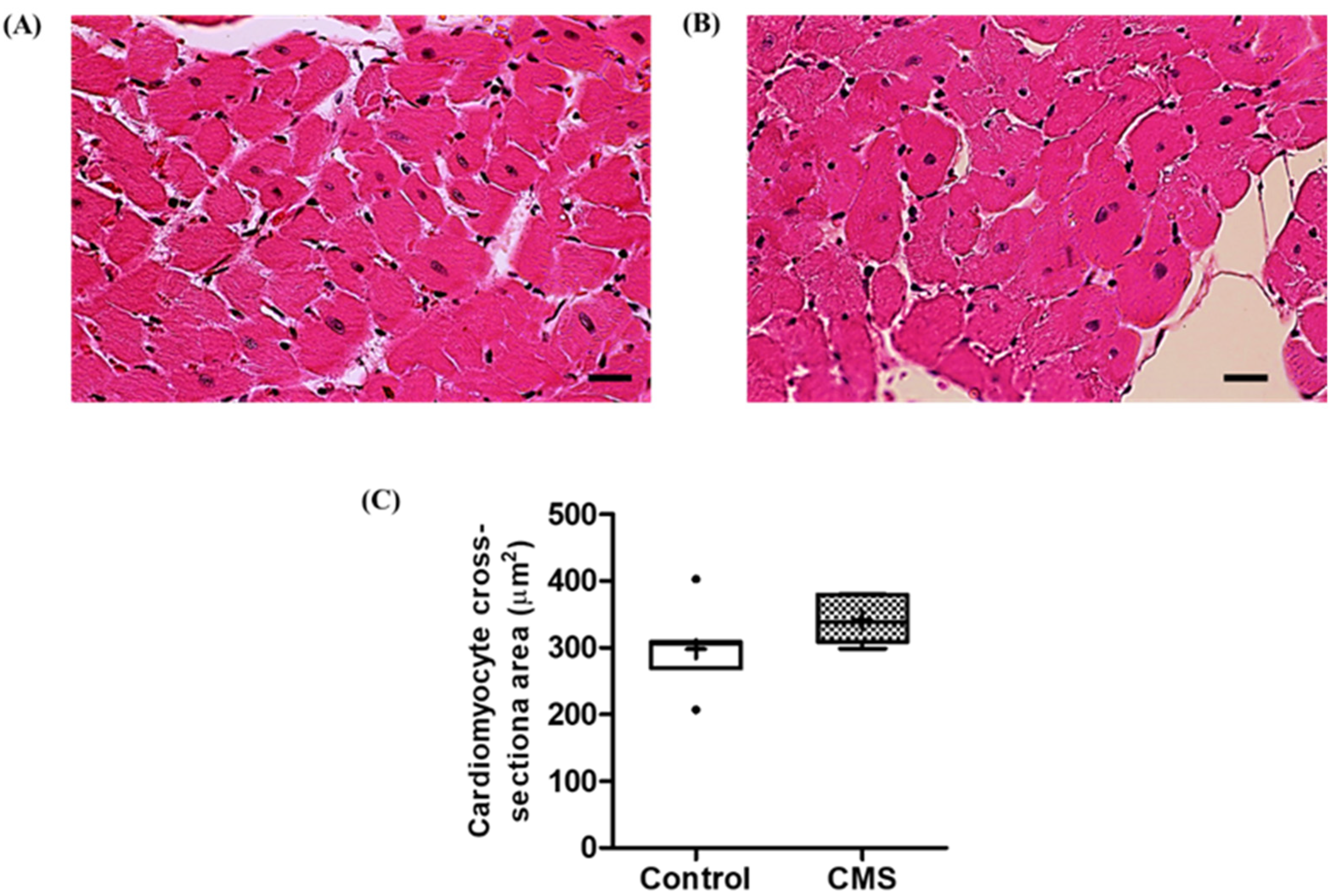 Vetsci 09 00539 g005 Vetsci 09 00539 g005
