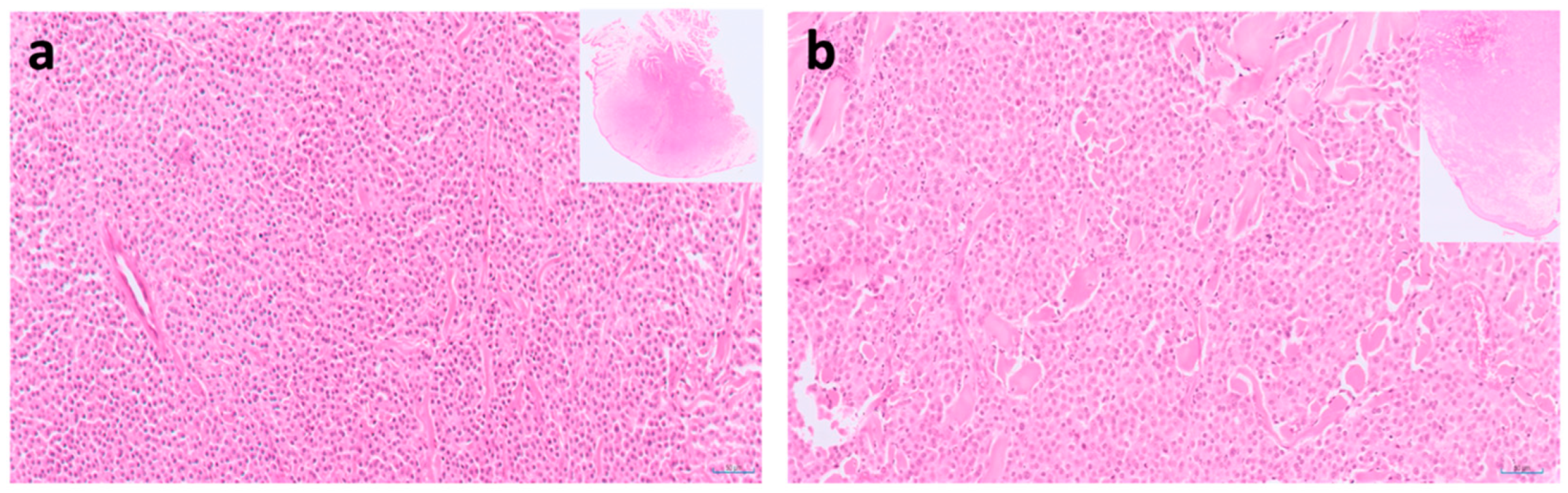 Vetsci 09 00547 g005 Vetsci 09 00547 g005