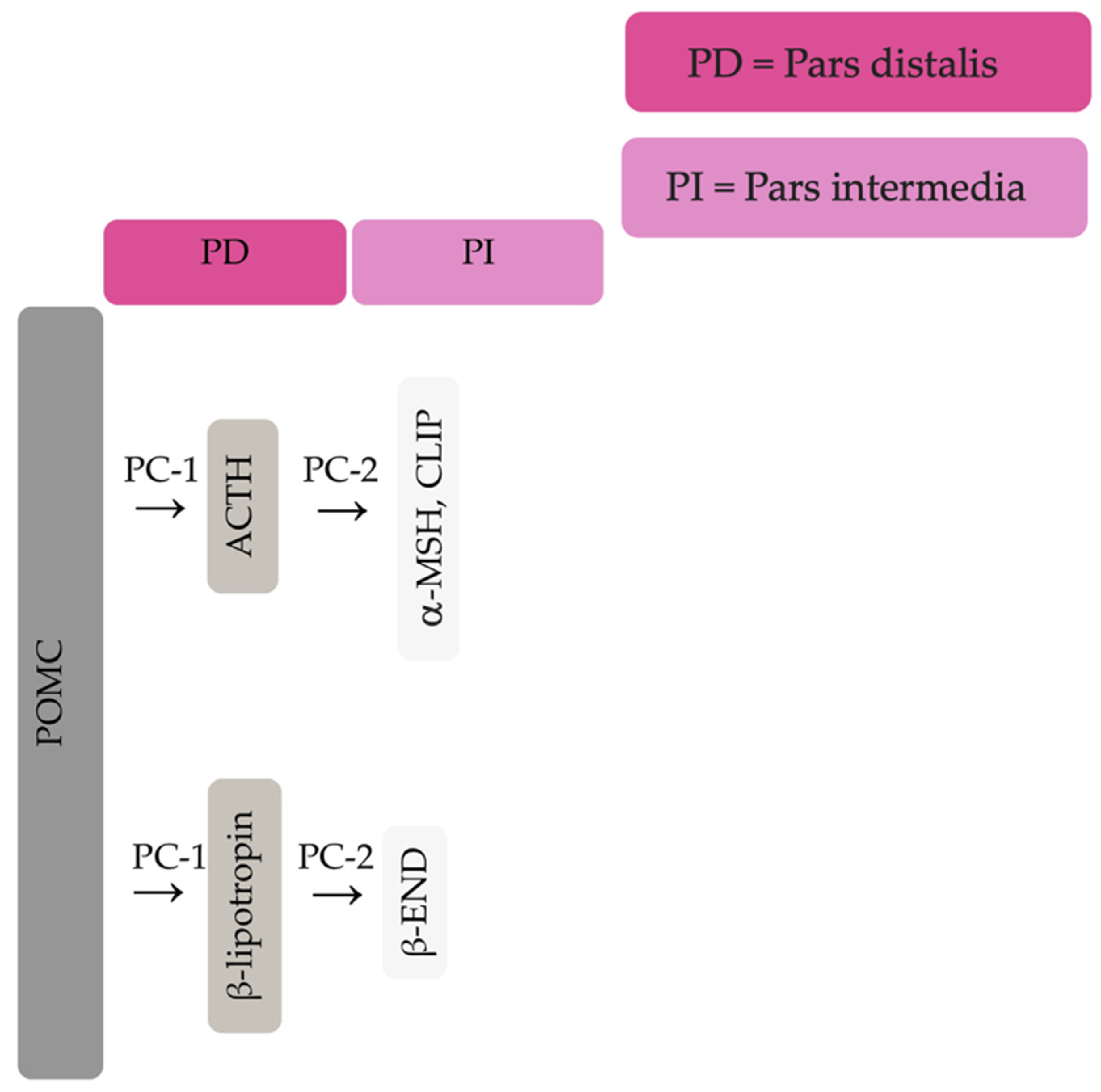 Vetsci 09 00556 g001