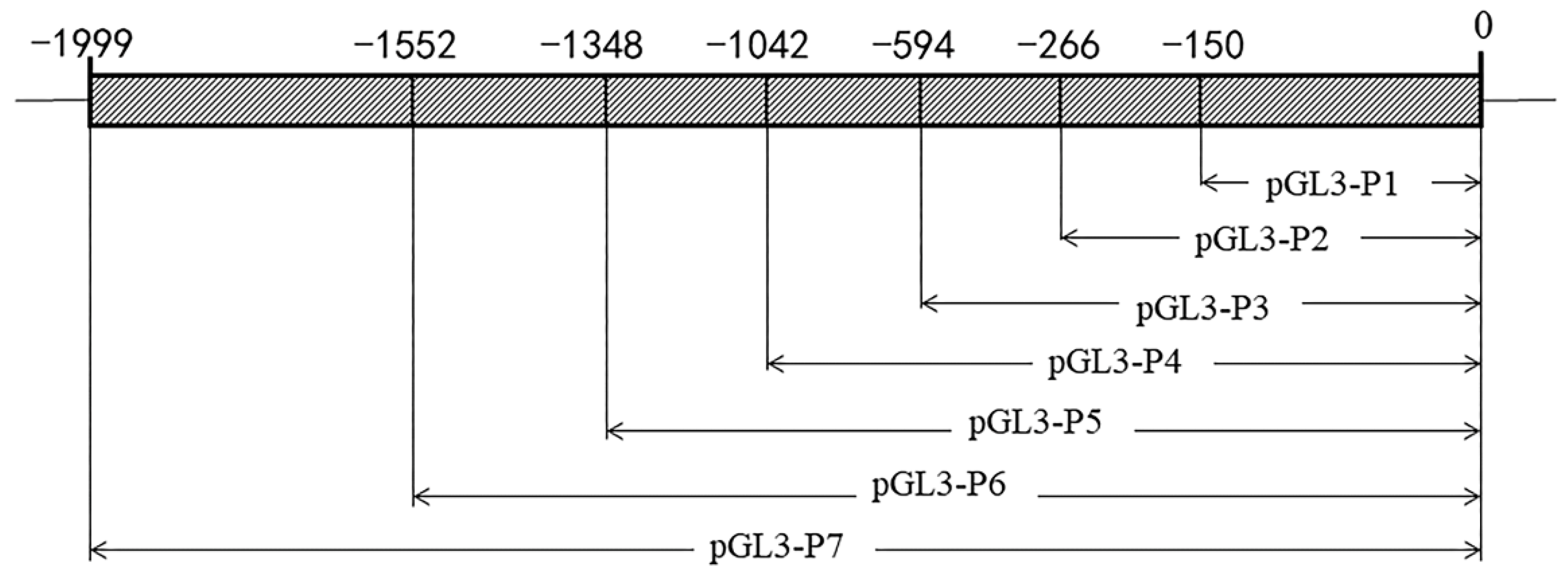 Vetsci 09 00570 g001