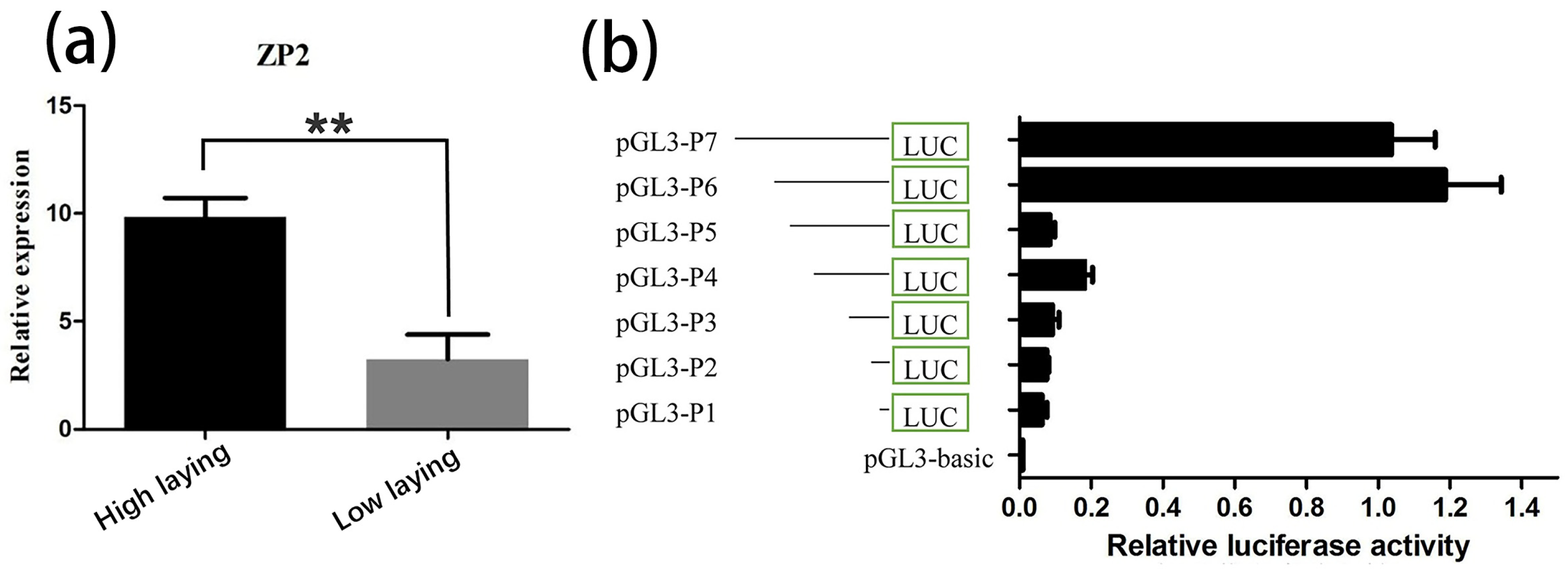 Vetsci 09 00570 g002