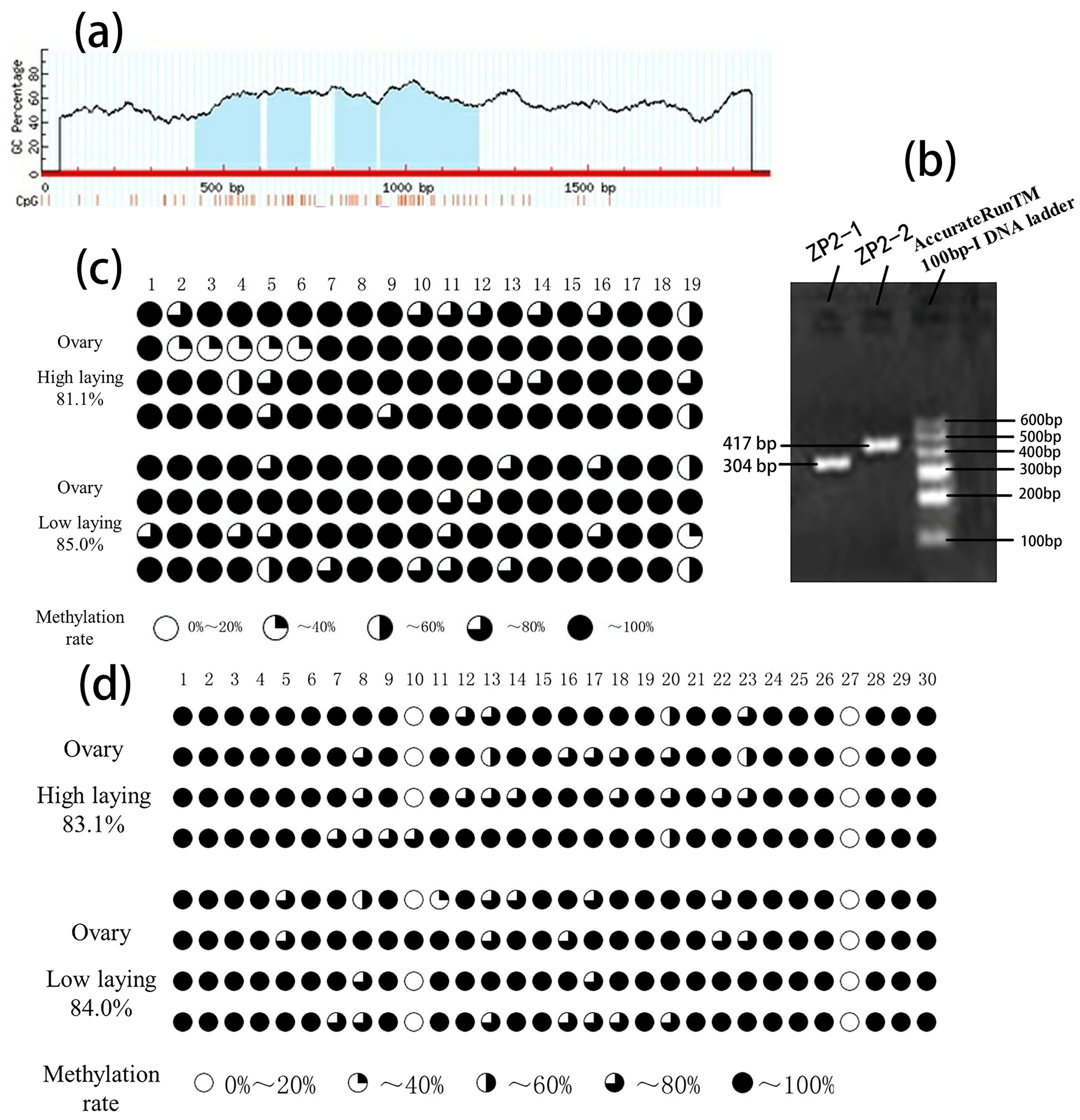 Vetsci 09 00570 g003