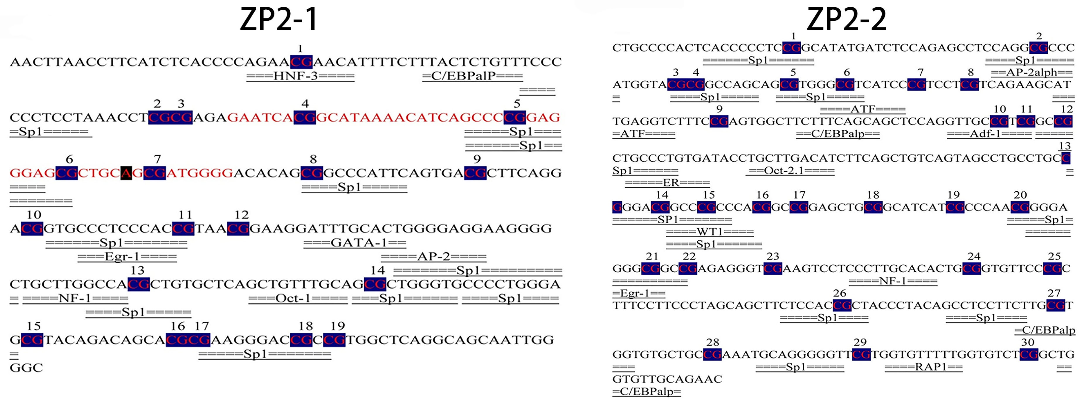 Vetsci 09 00570 g005