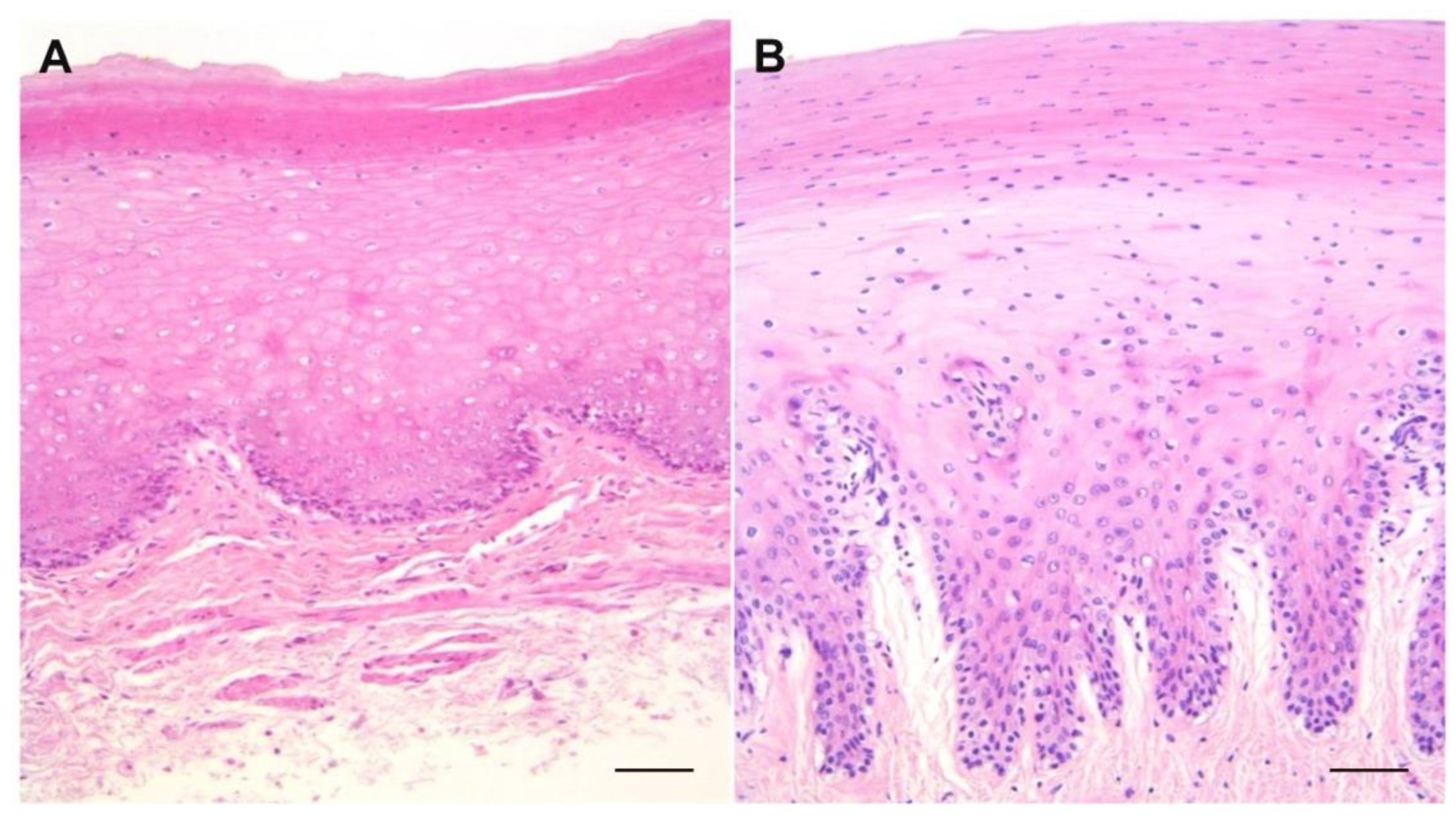 Vetsci 09 00571 g001 Vetsci 09 00571 g001