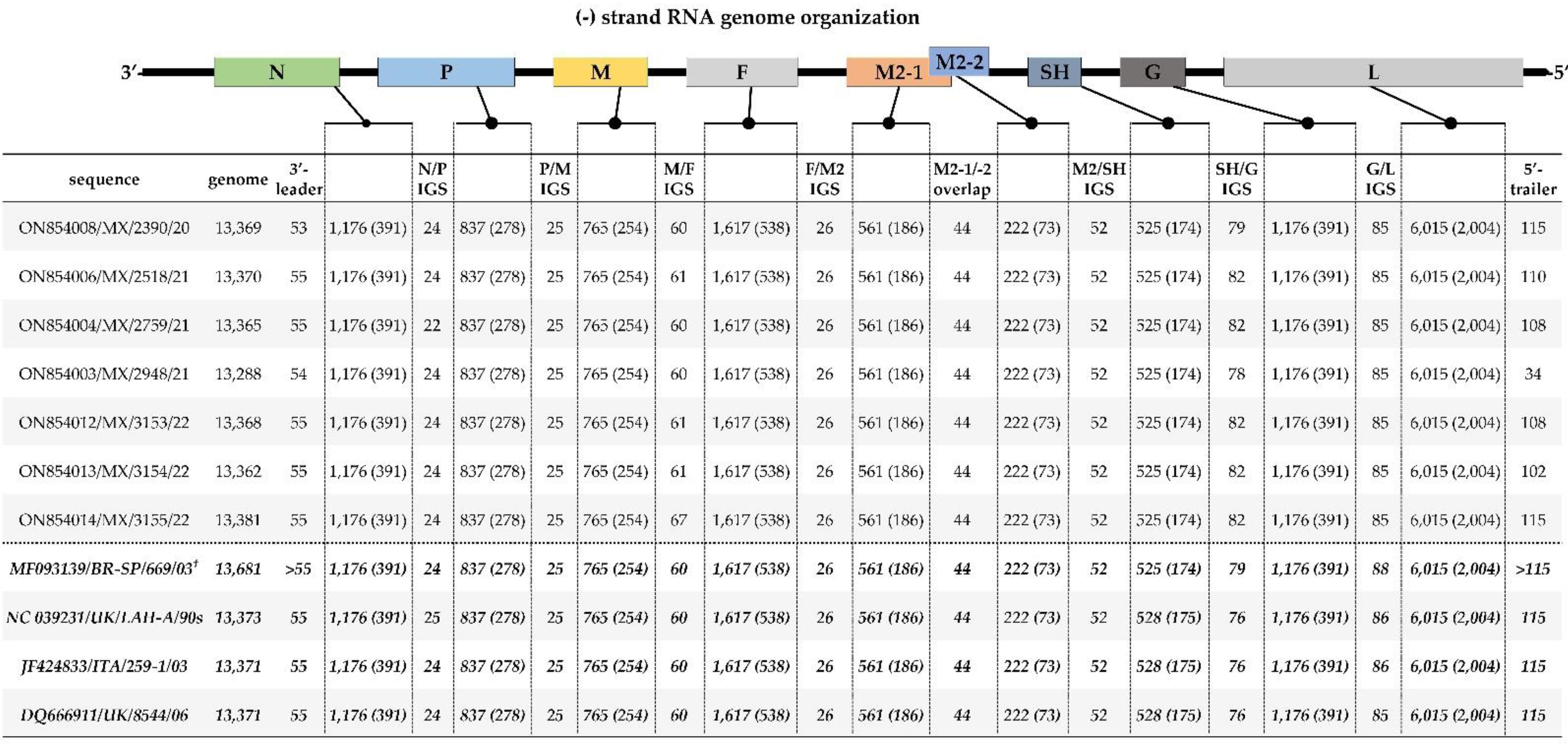 Vetsci 09 00579 g001 Vetsci 09 00579 g001