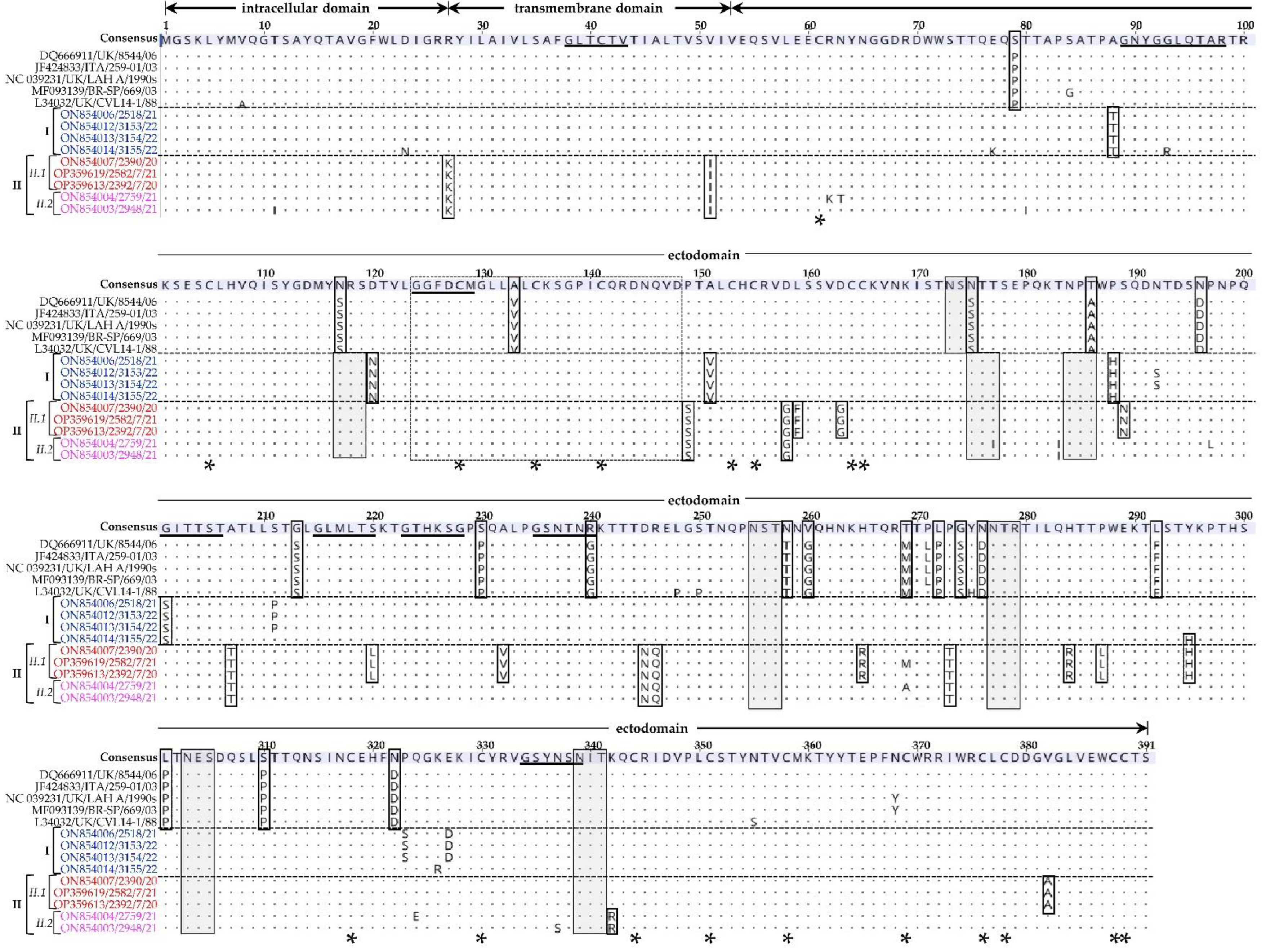 Vetsci 09 00579 g004 Vetsci 09 00579 g004