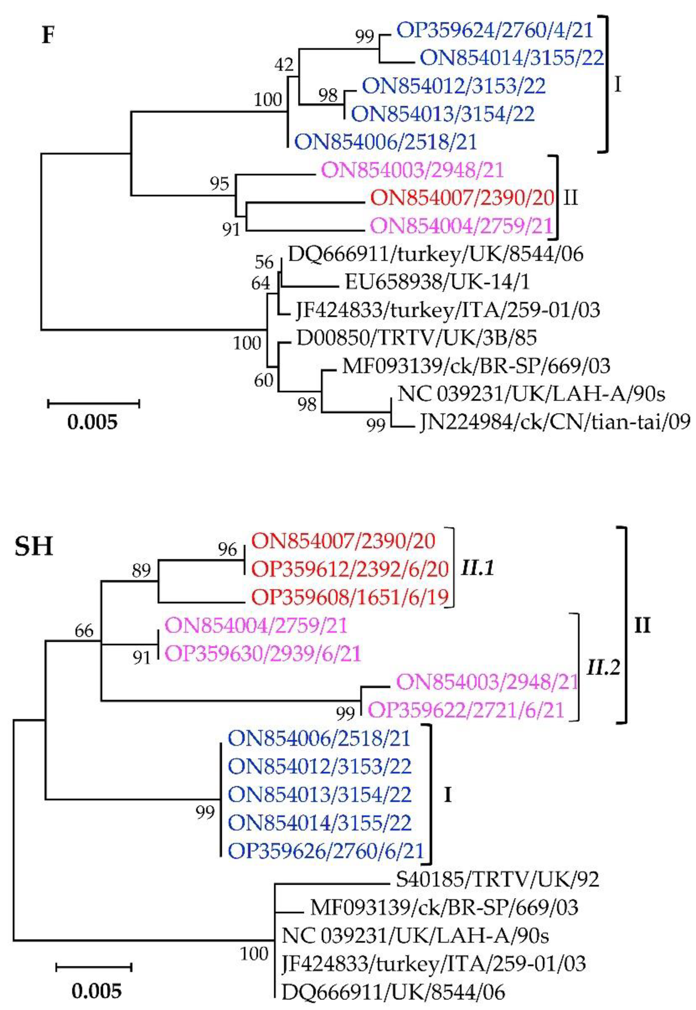 Vetsci 09 00579 g005 Vetsci 09 00579 g005