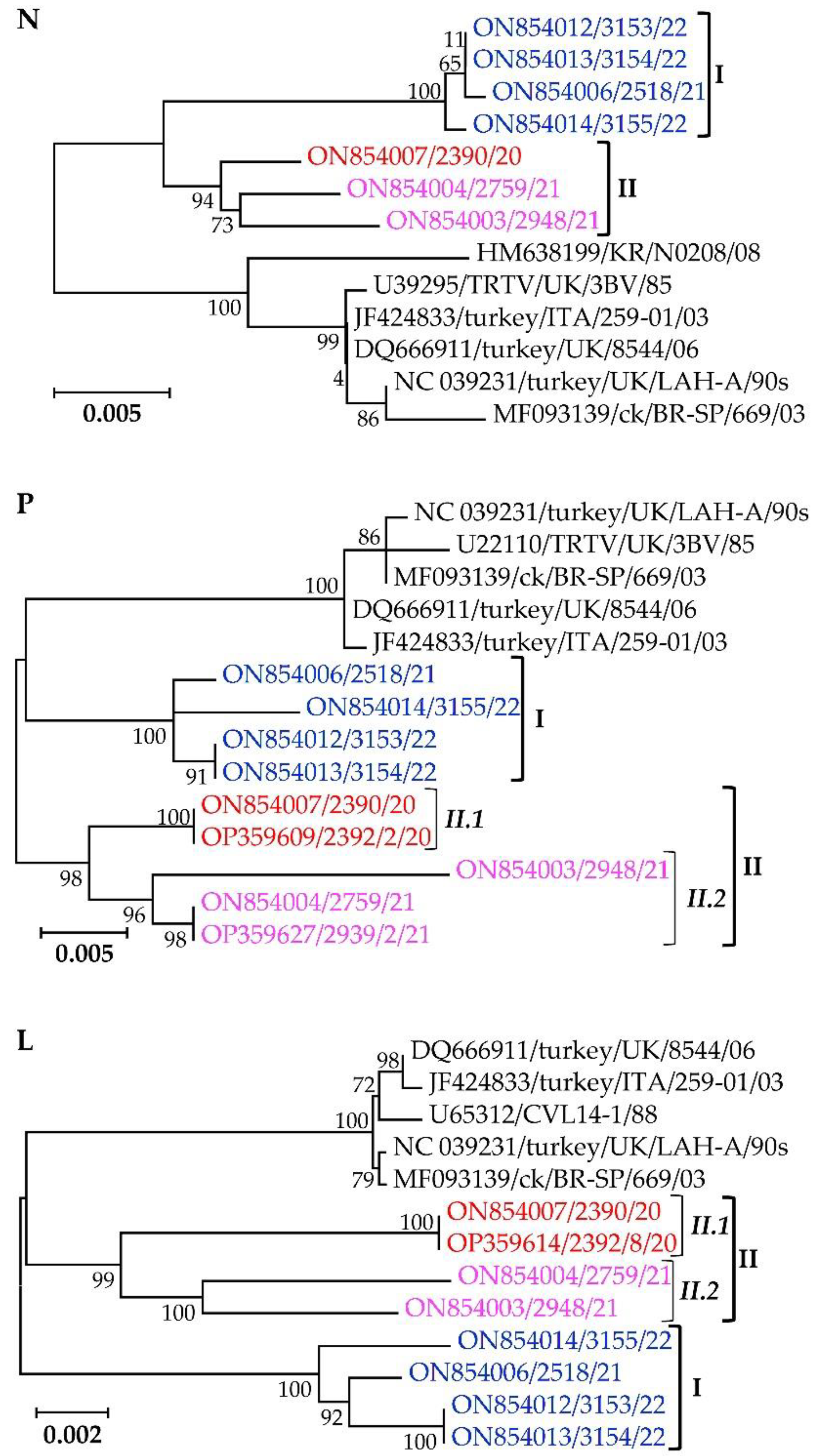 Vetsci 09 00579 g006 Vetsci 09 00579 g006