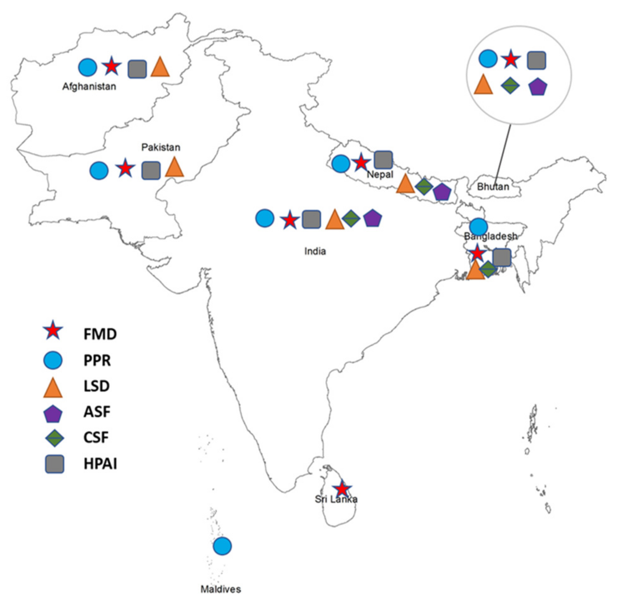 Vetsci 09 00586 g002 Vetsci 09 00586 g002