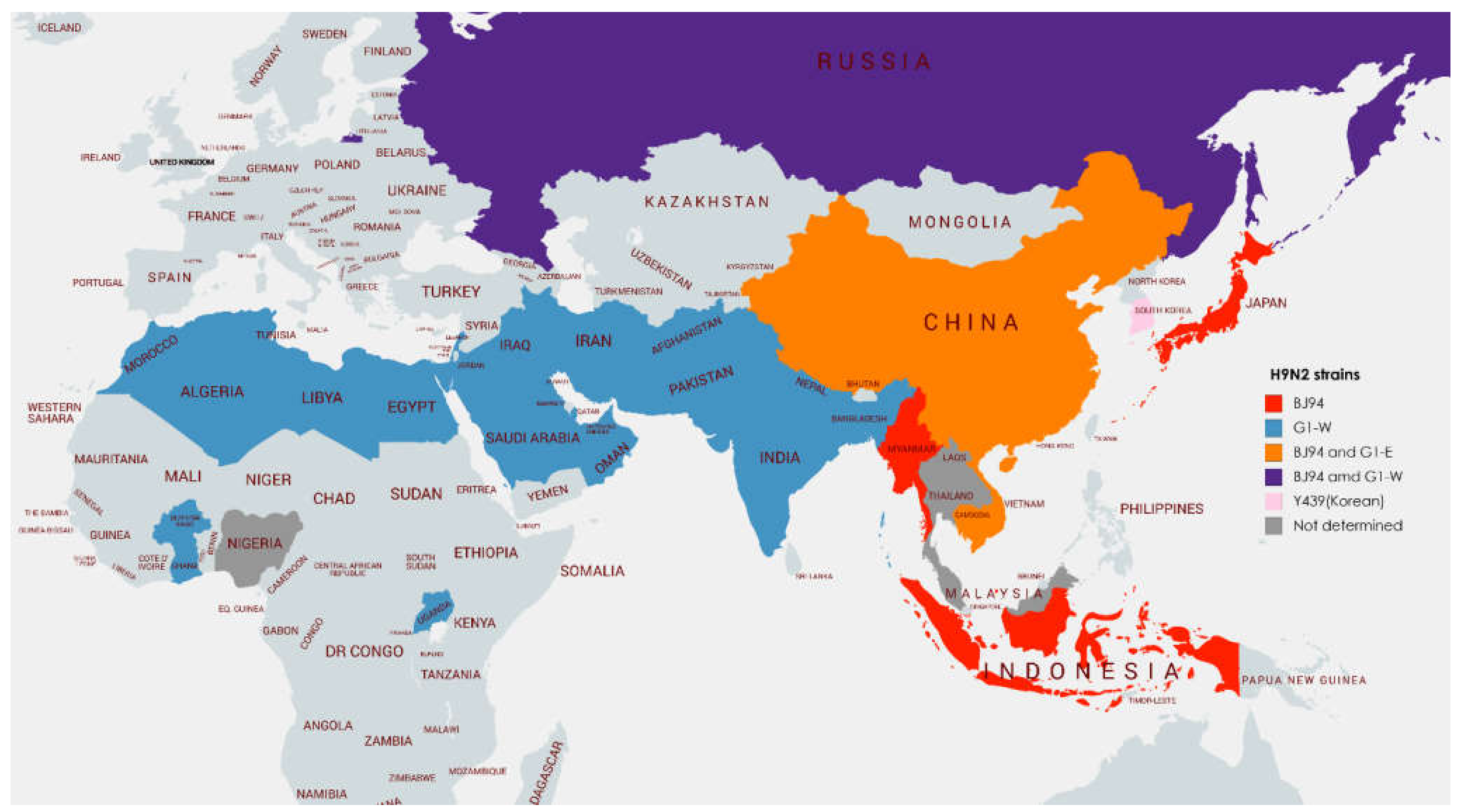 Vetsci 09 00586 g006 Vetsci 09 00586 g006