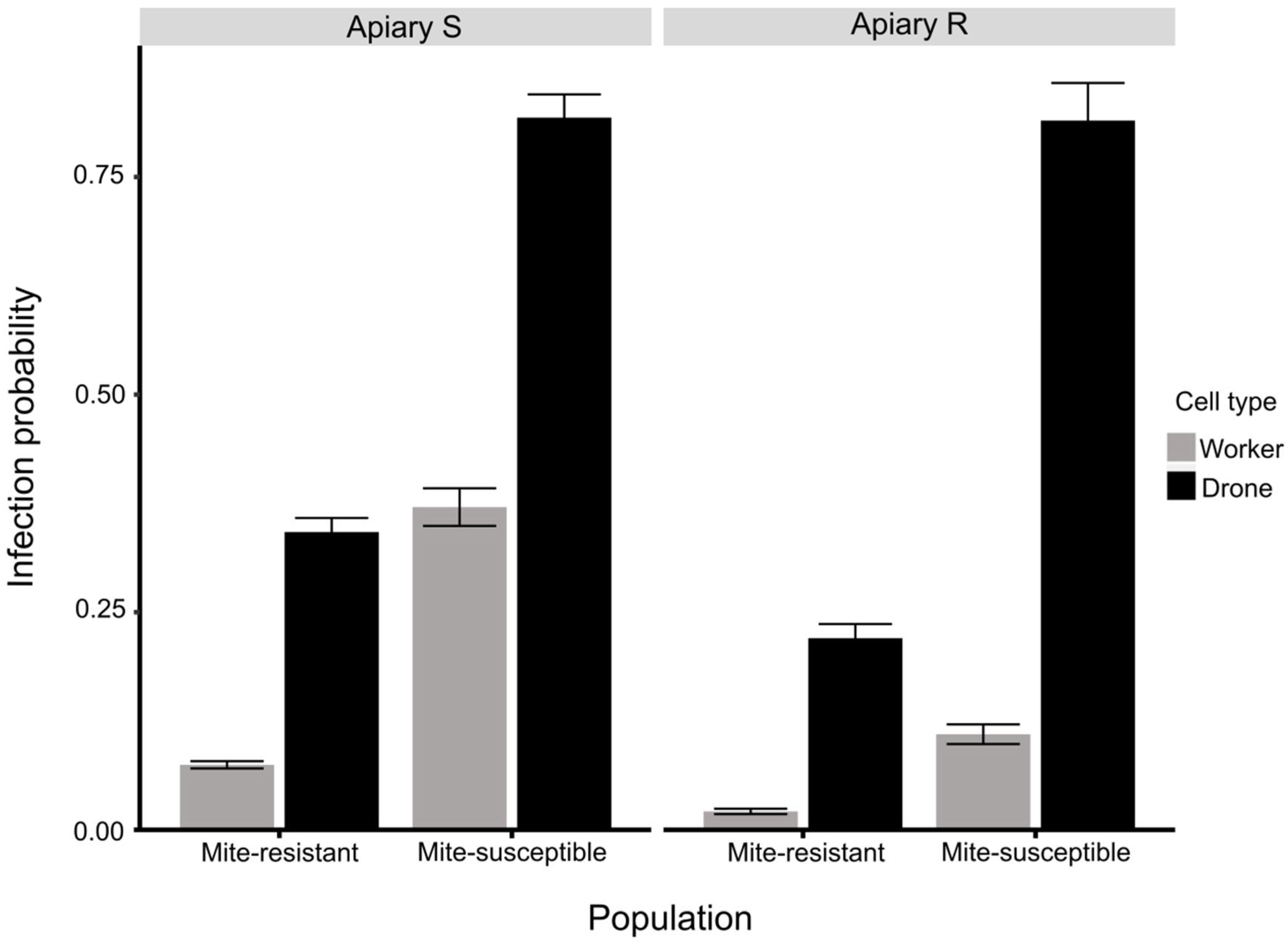 Vetsci 09 00596 g004