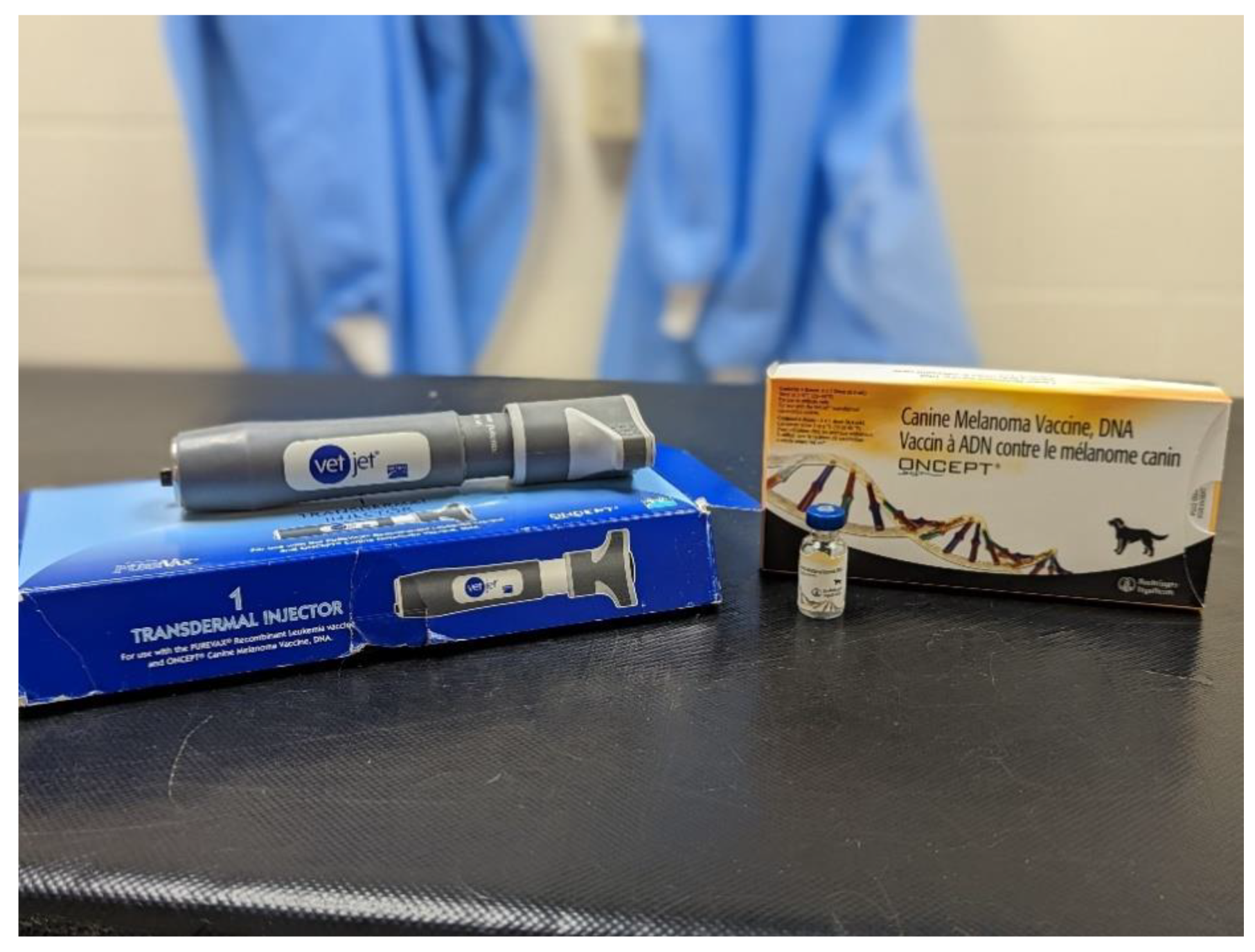 Vetsci 09 00597 g001