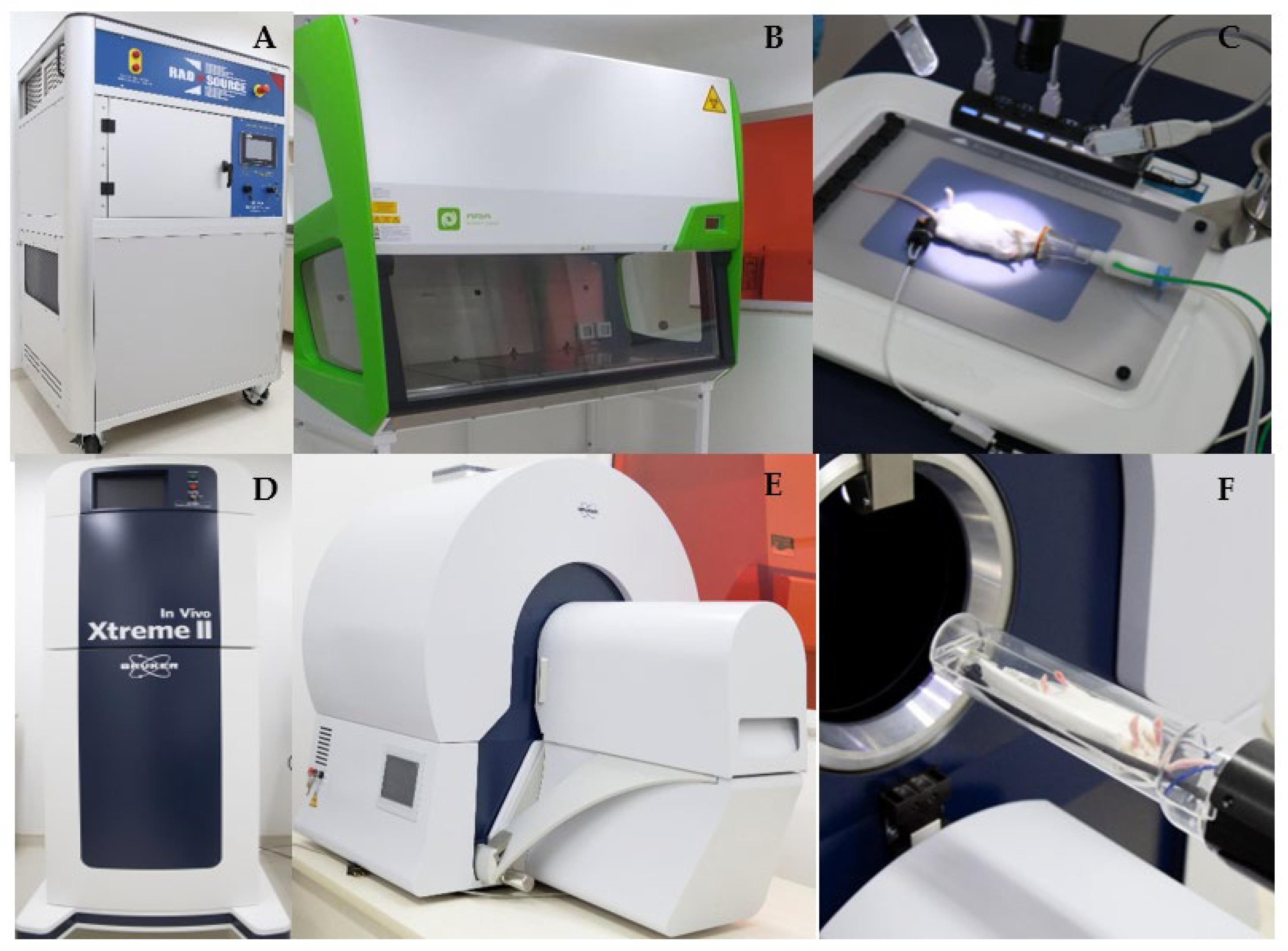 Vetsci 09 00636 g002