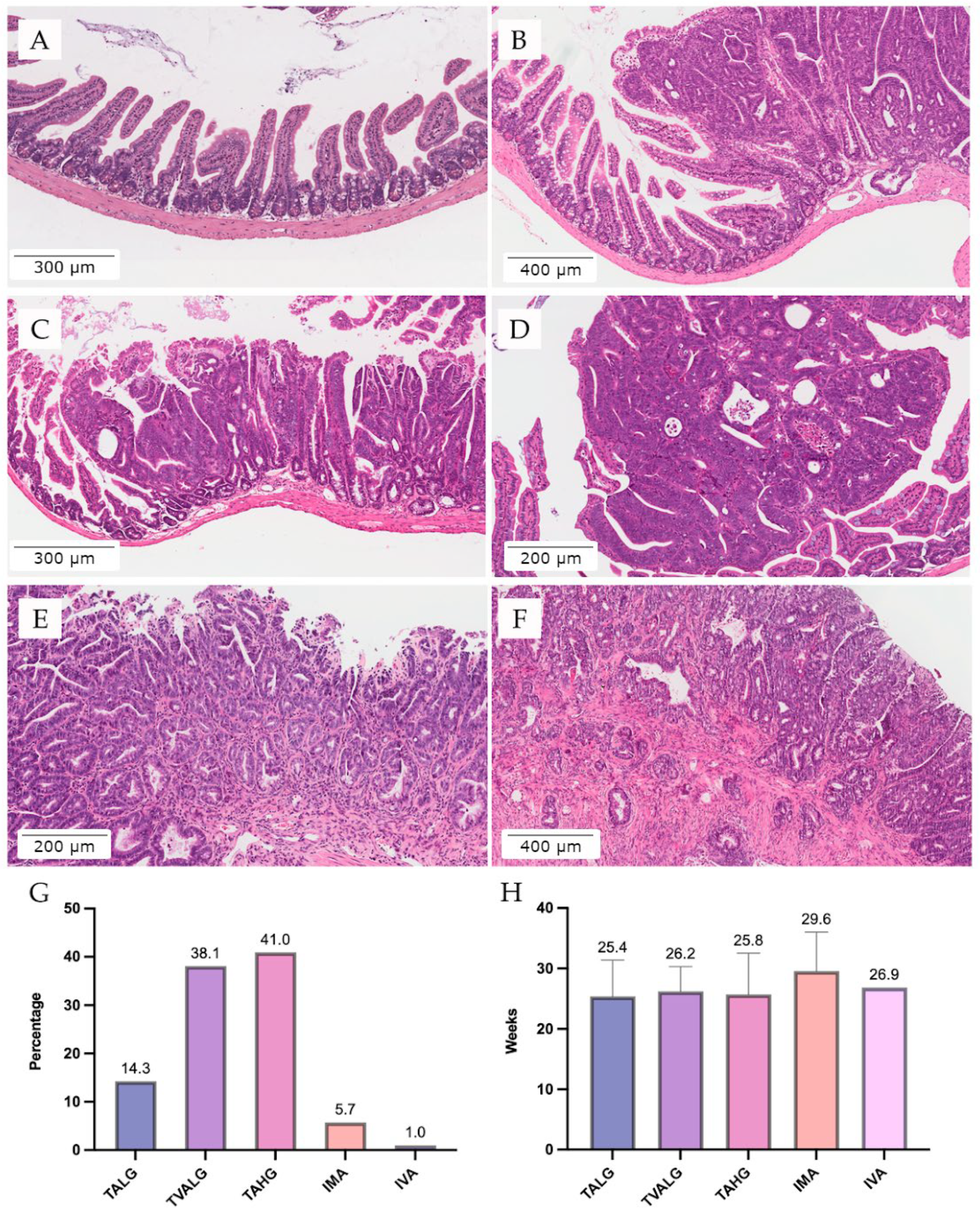 Vetsci 09 00636 g007