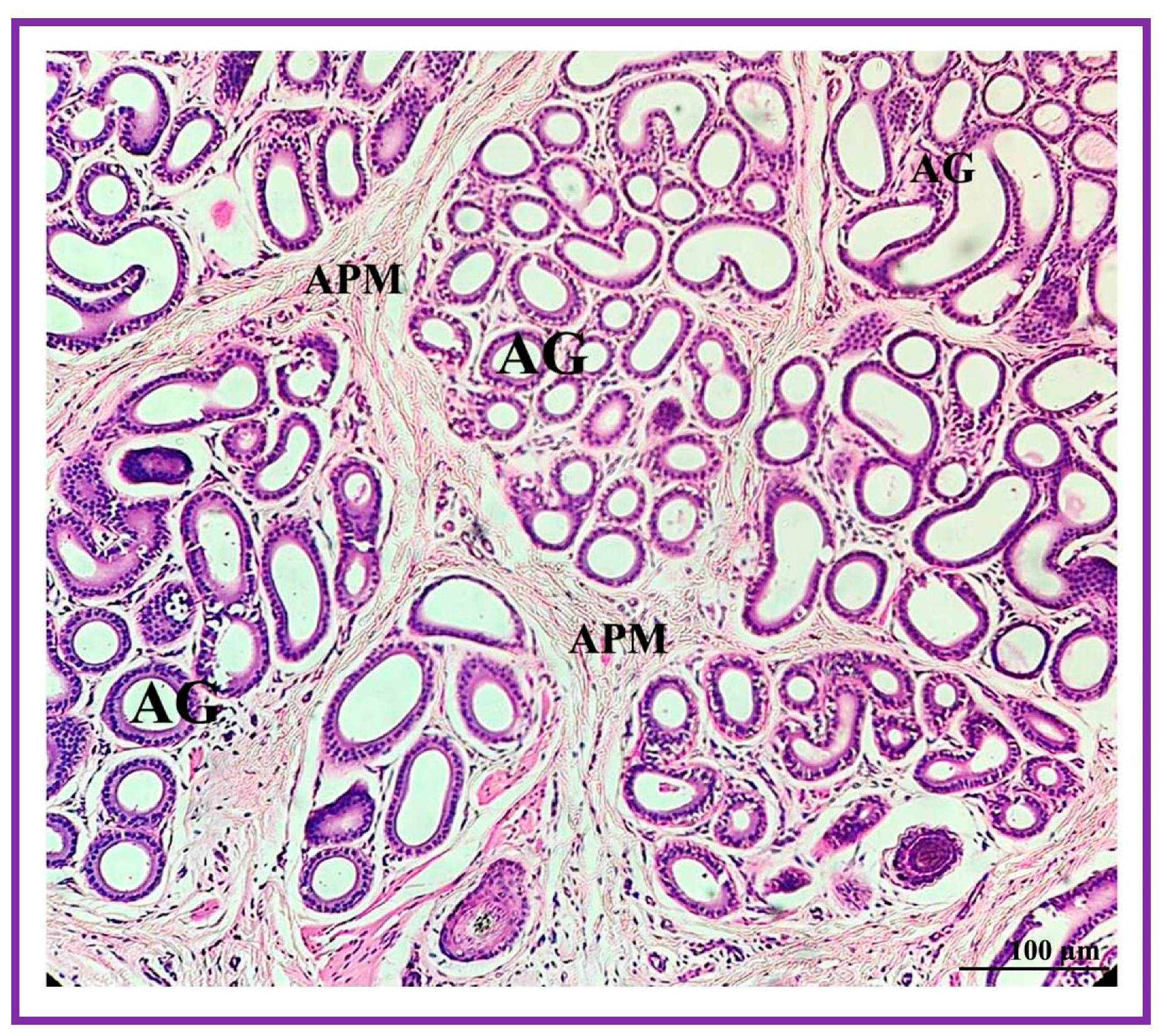Vetsci 09 00647 g006 Vetsci 09 00647 g006